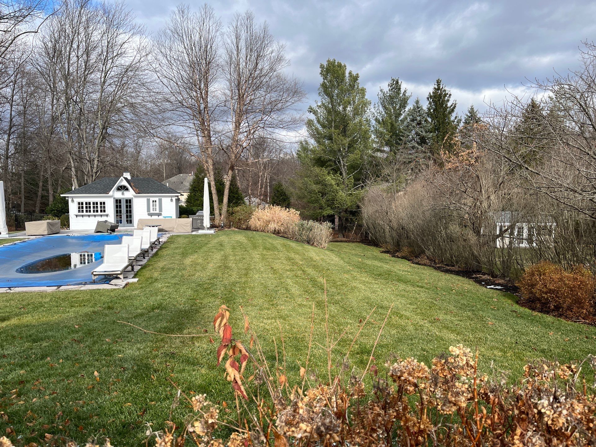 Comprehensive Lawn Care in Warren by Ants Plants