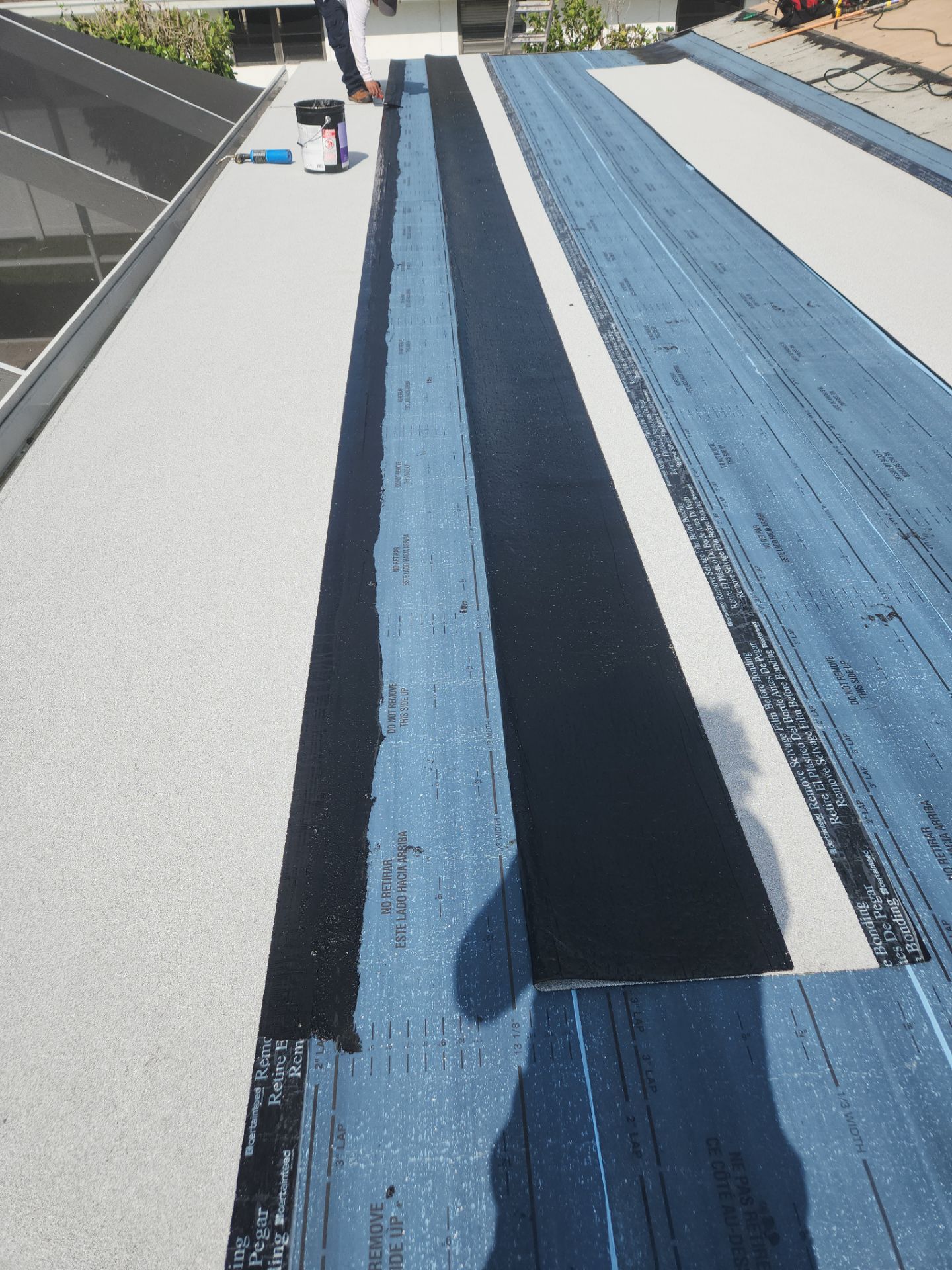 Flat Roof Replacement and Fascia Repair in Margate by Aastro Roofing