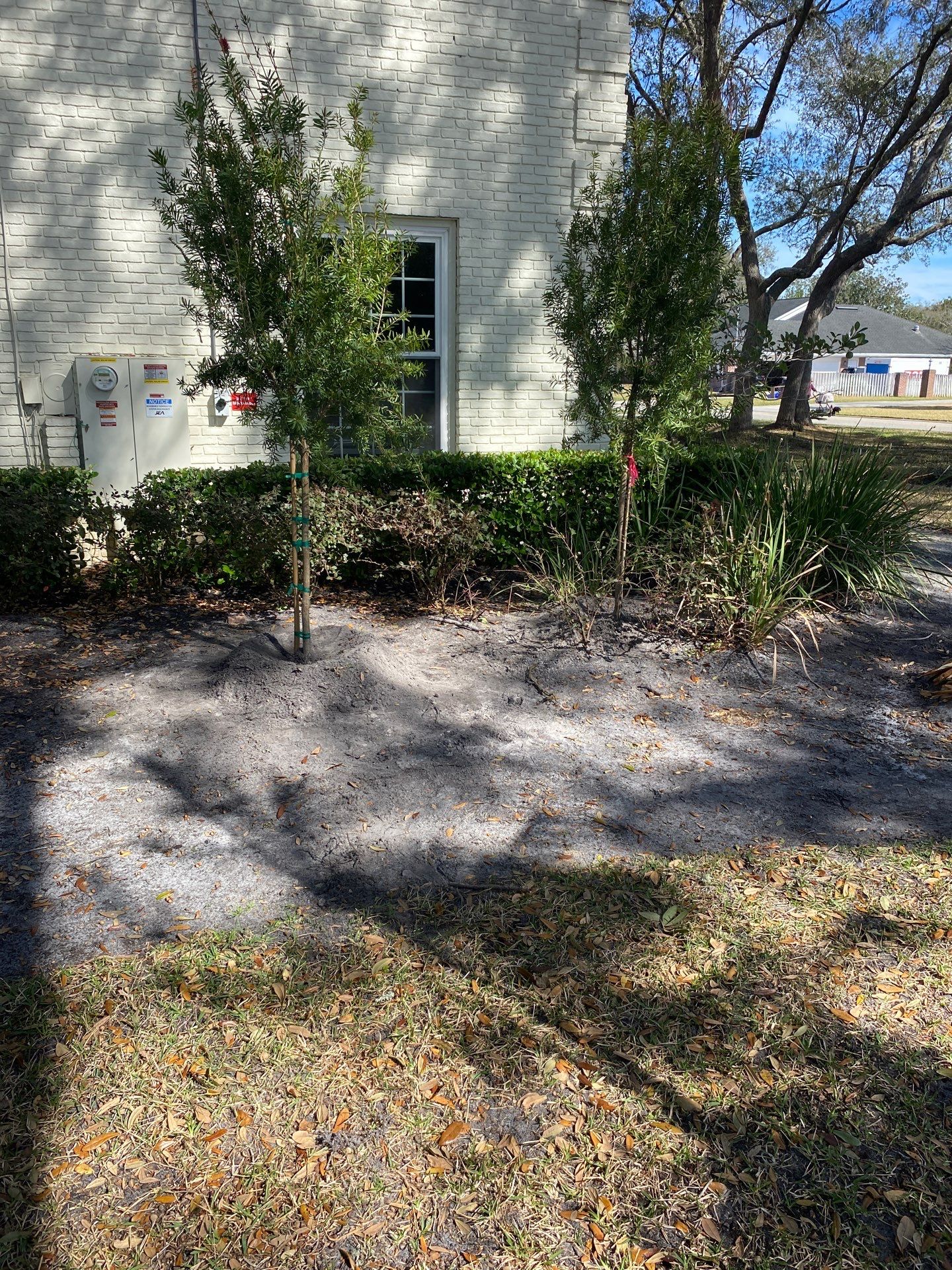 Deerwood Resident | Tree Removal & Install by ProGreen Services