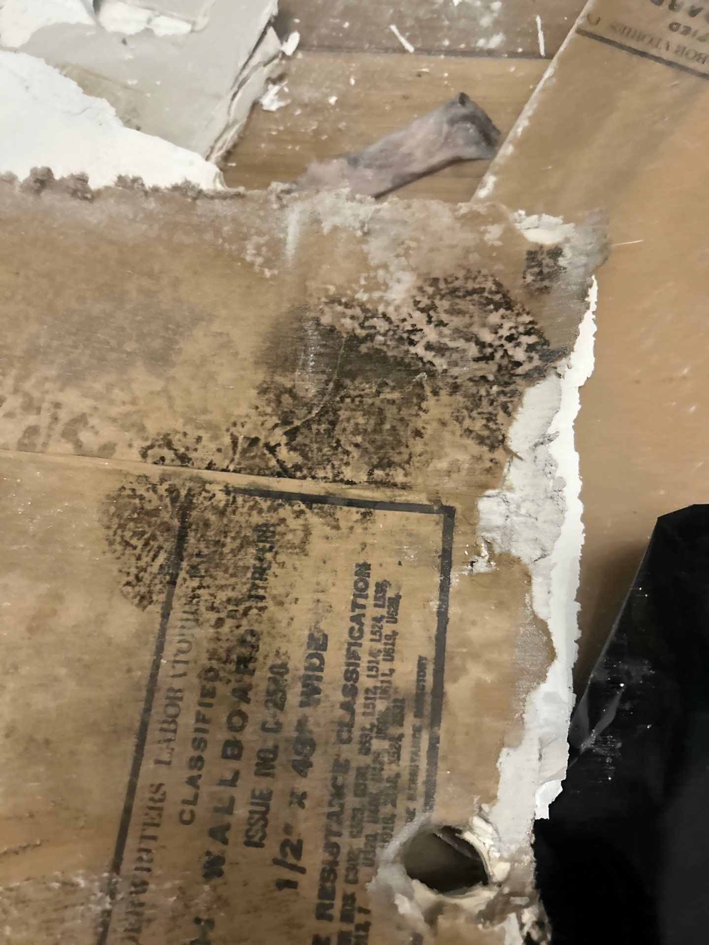 Water Damage Restoration by Ampm Restoration Services