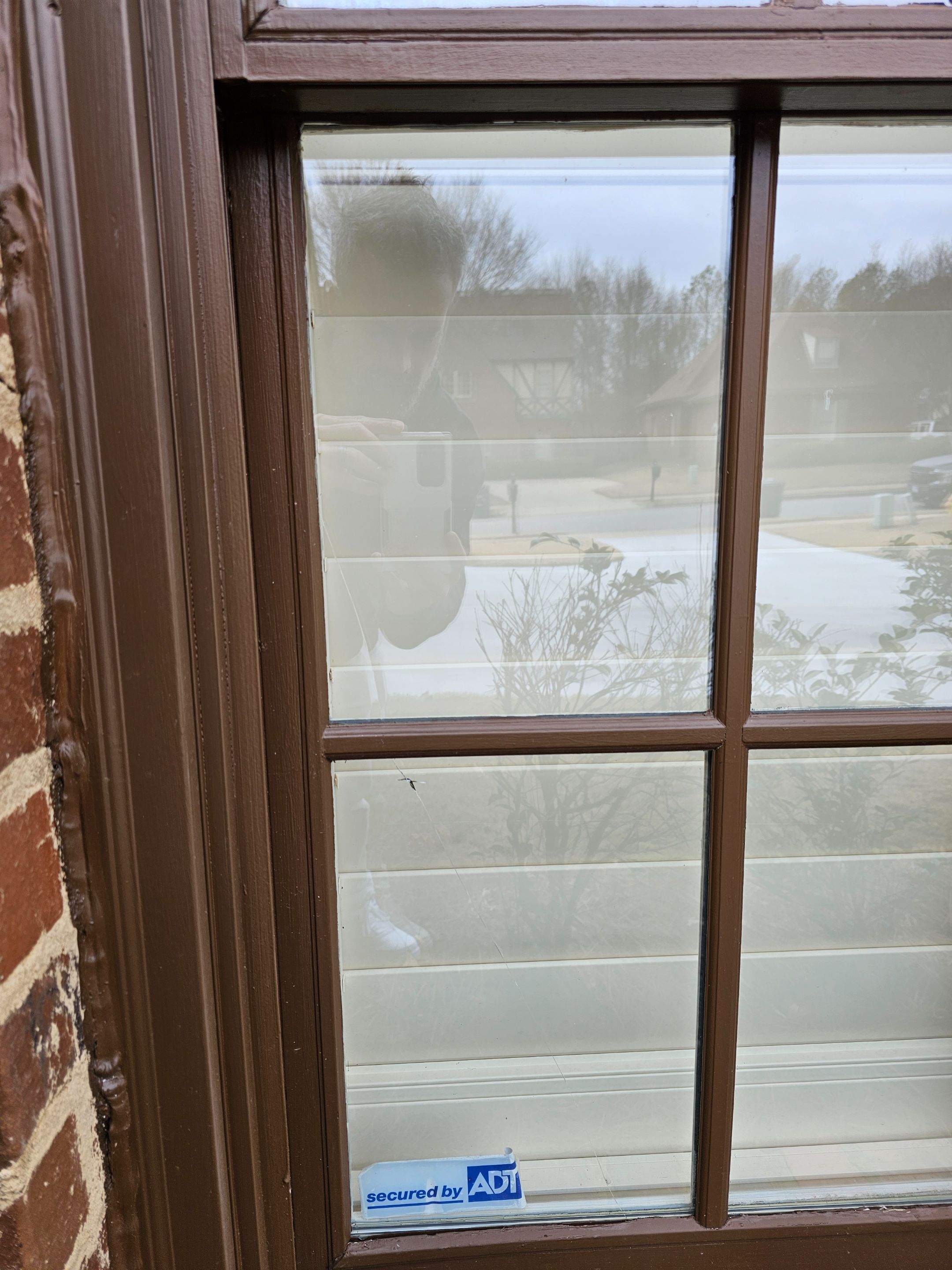 Kelley Project in Hoover by The Window Source