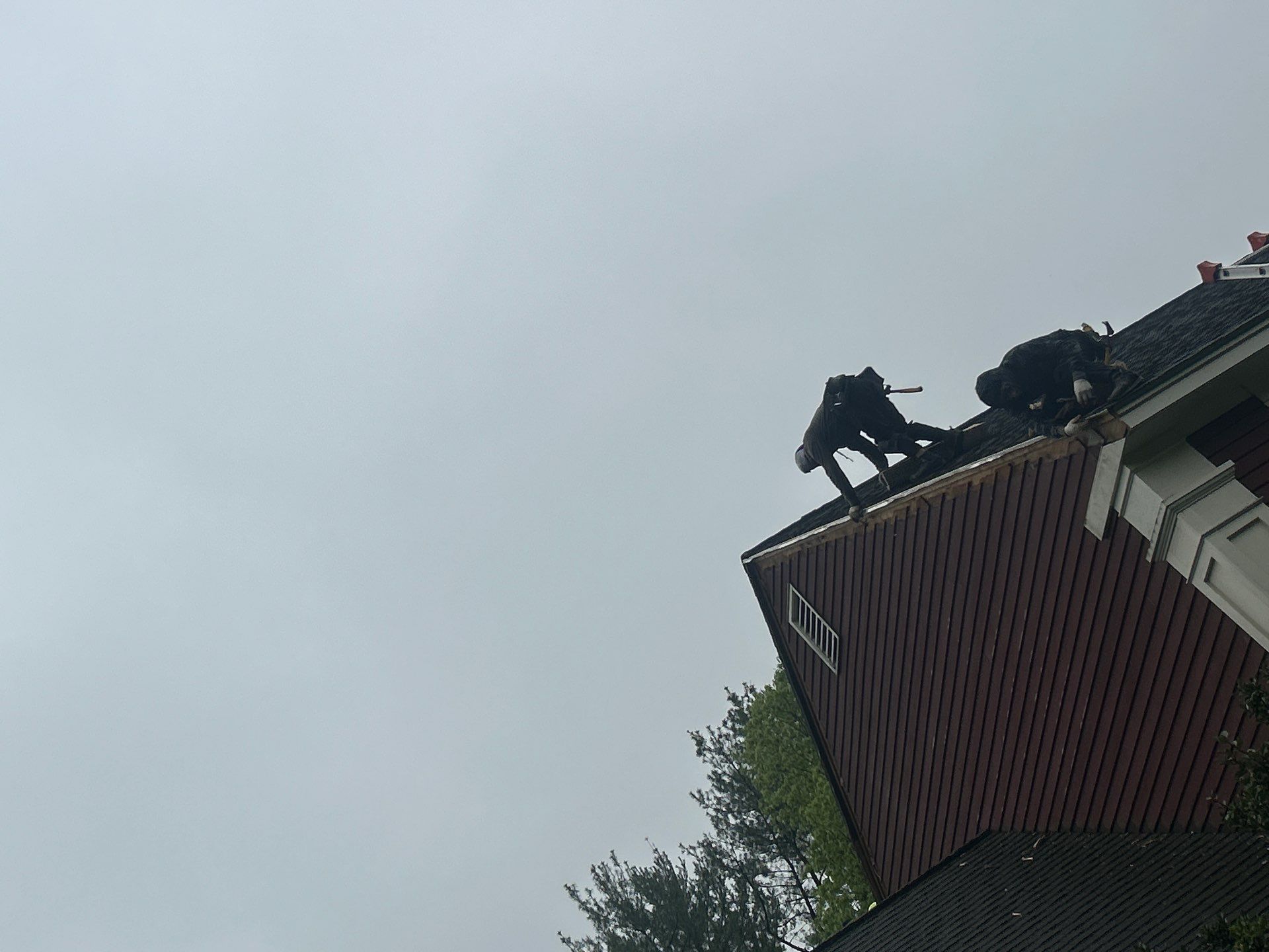 Roofing & Siding | Acton by Mighty Dog Roofing of Greater Middlesex County