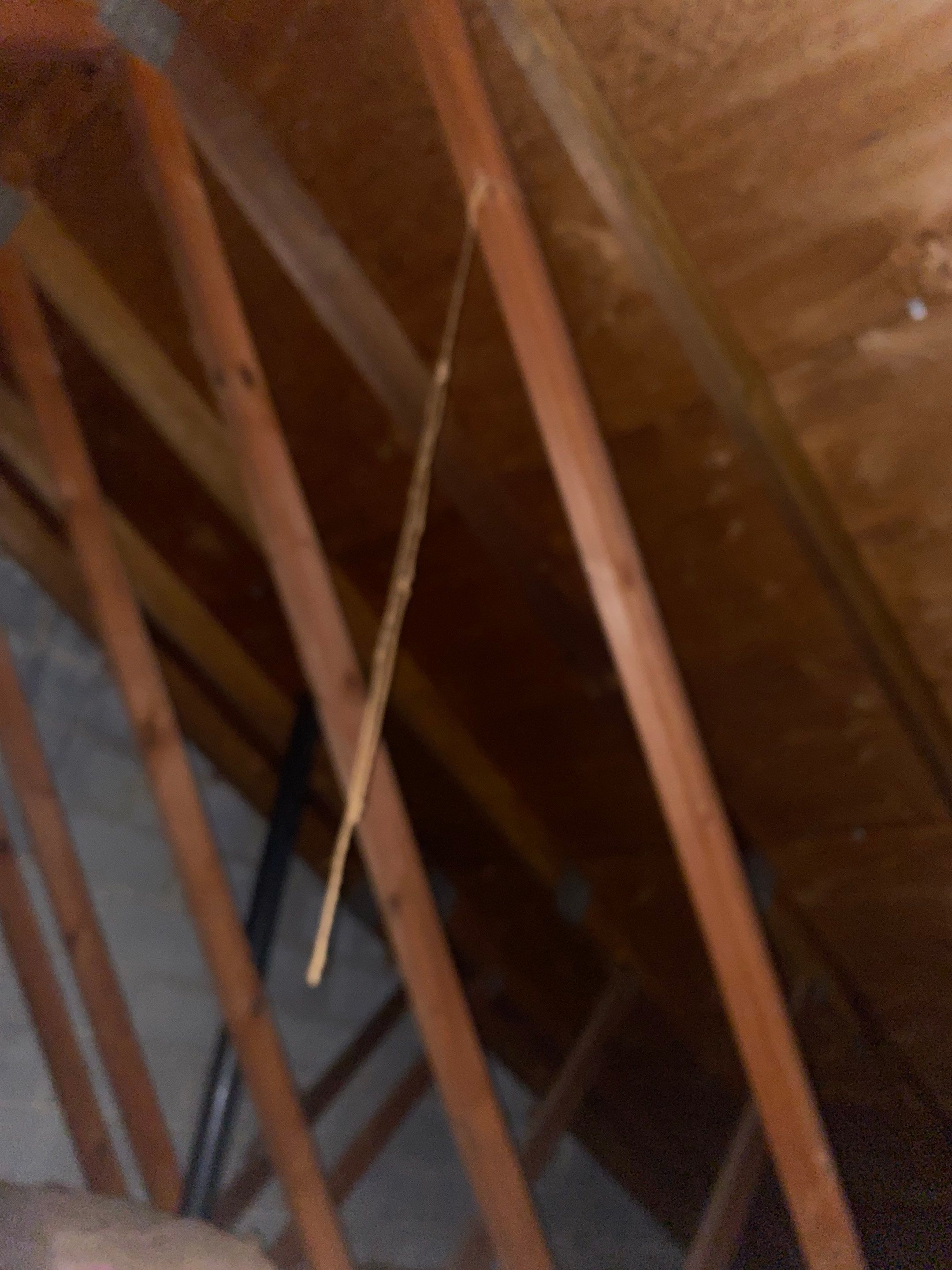 Manassas: Roof Replacement with CertainTeed Landmark Pro Designer Shingles in Max Def Cobblestone Gray by RM Banning, Inc.