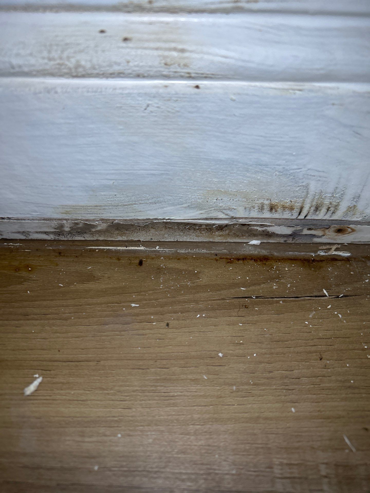 Water Damage Restoration by Ampm Restoration Services