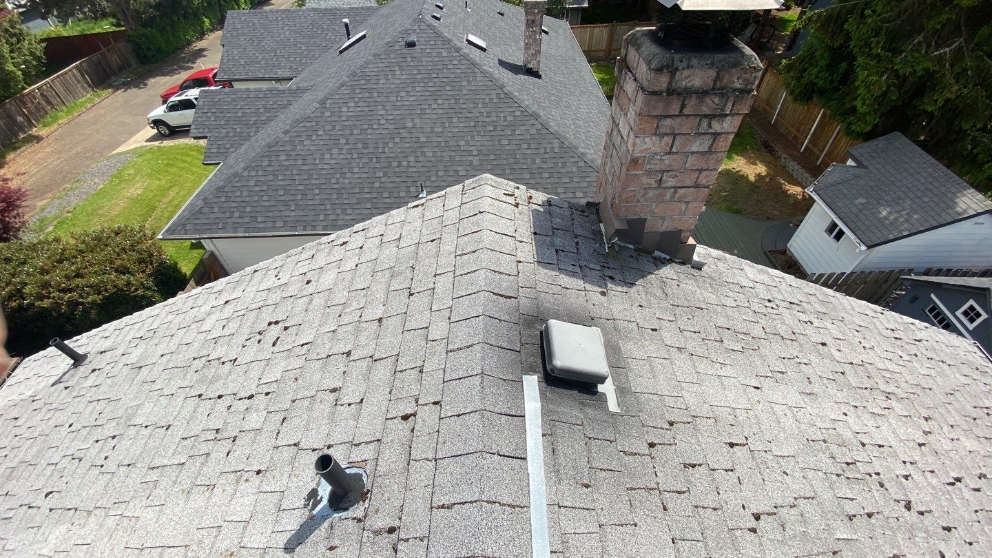 Estate Gray Shingles by Reimagine Roofing
