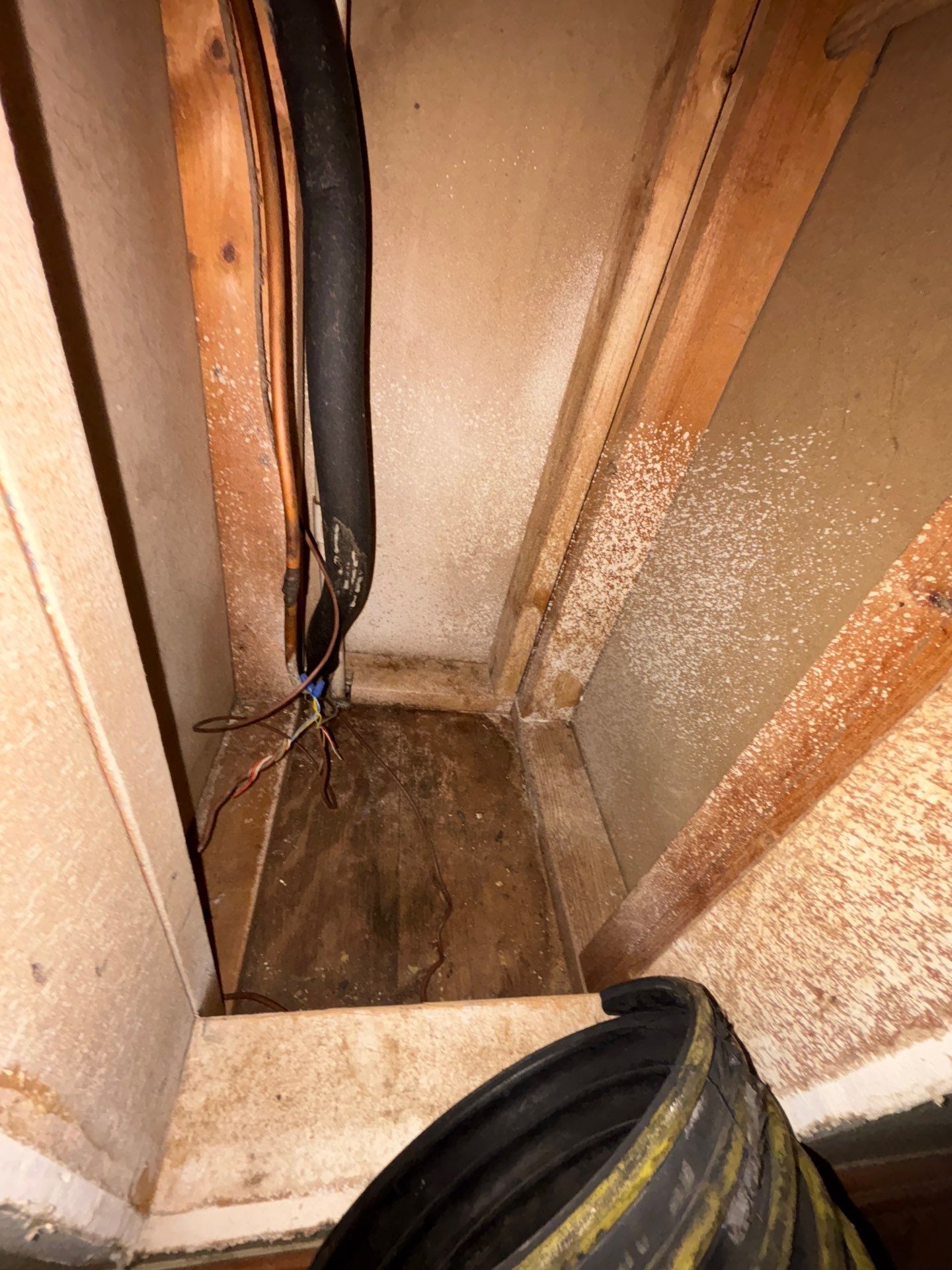 Extremely Dirty Air Duct Cleaning in Fruitland Park by Hygienic Air, Inc