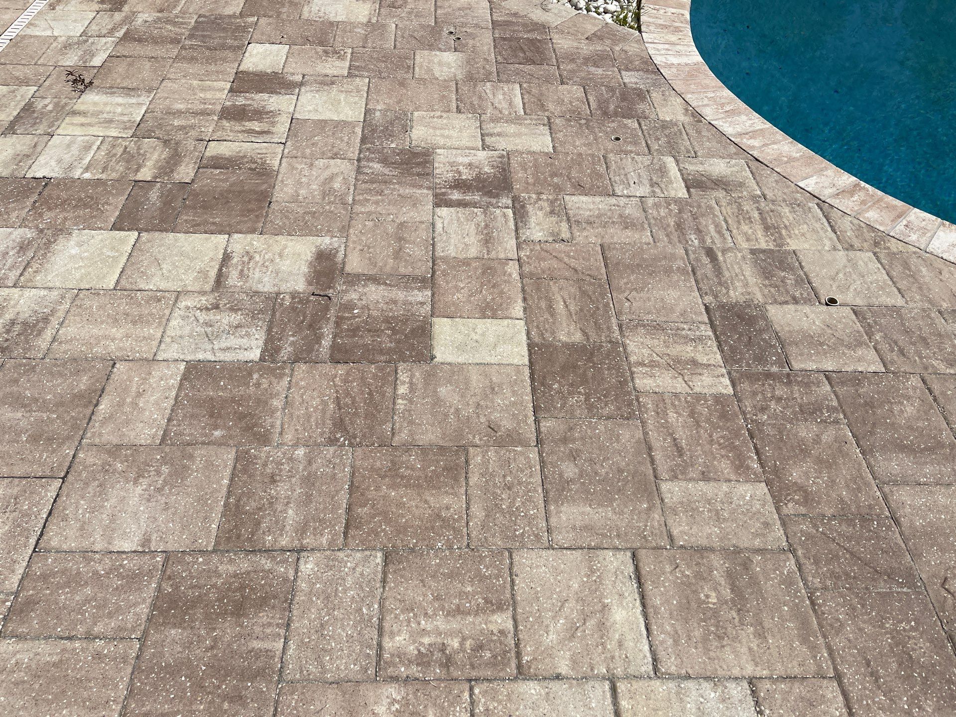 Pool Deck using TopSeal by DuraSeal