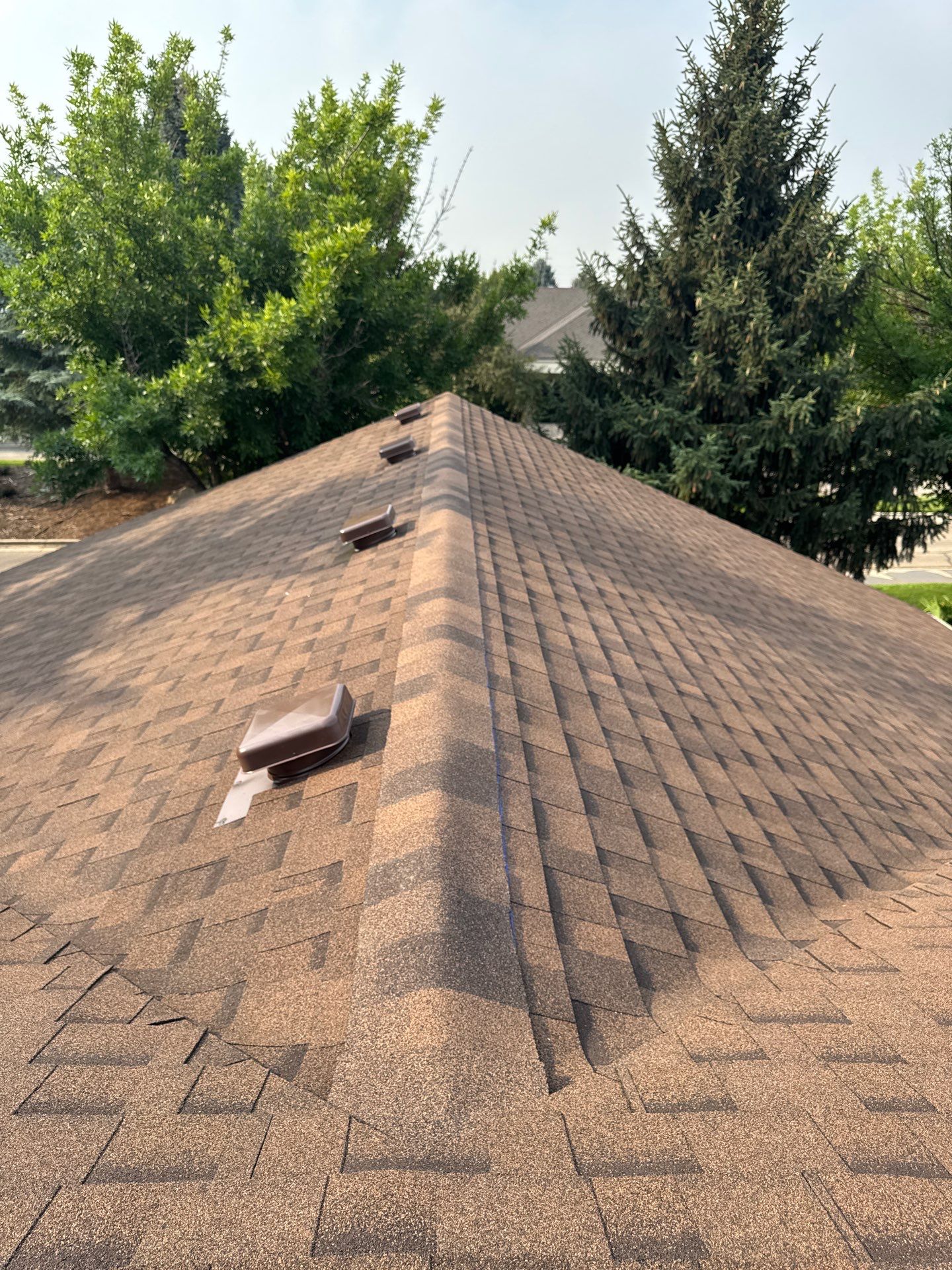 Boise Commercial Roof Replacement with Brown Architectural Shingles by Olive Roofing