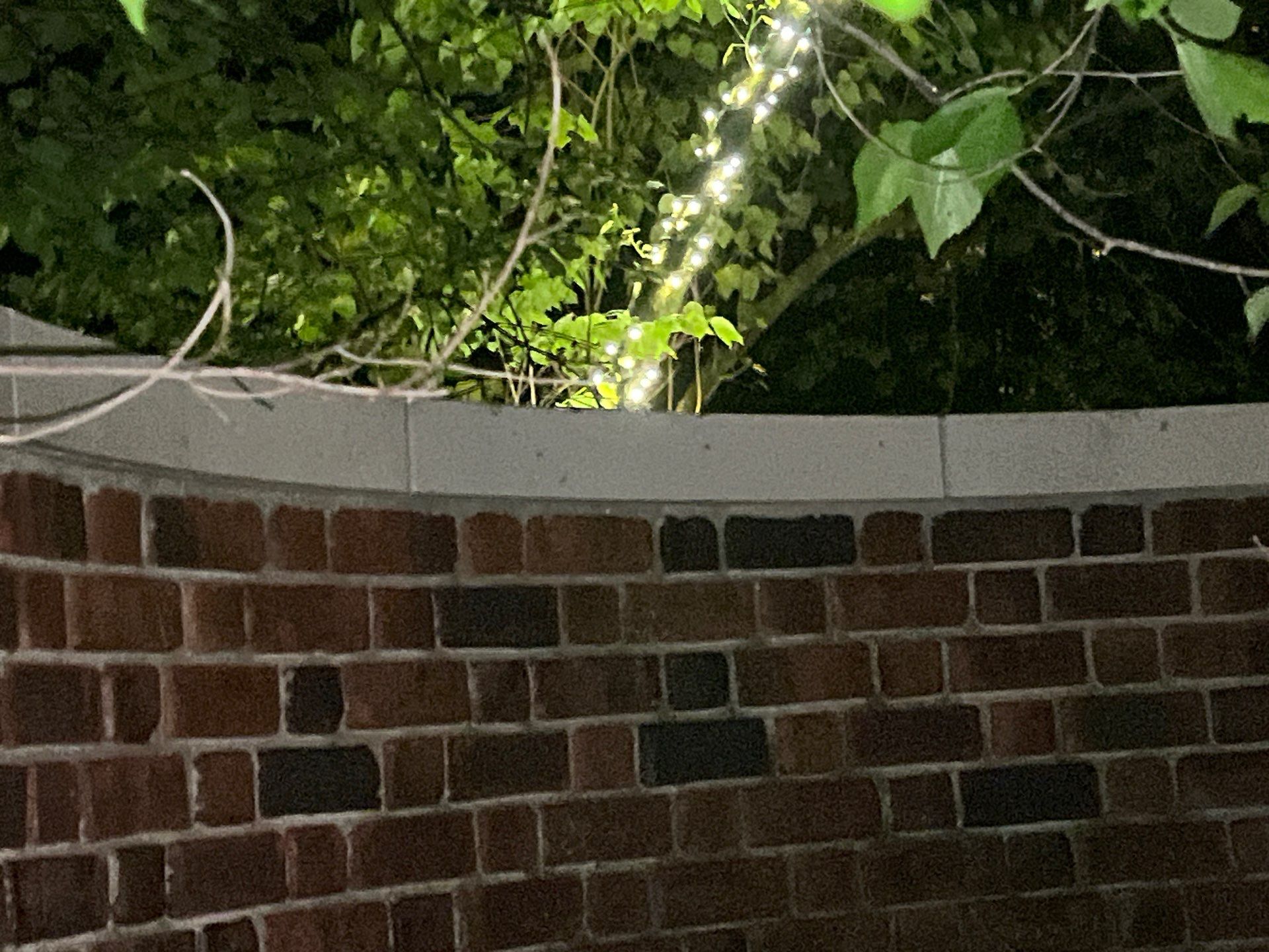 Brick paver clean, sand and seal.  using Algaecide, soft wash soap by Northern Power Washing LLC.