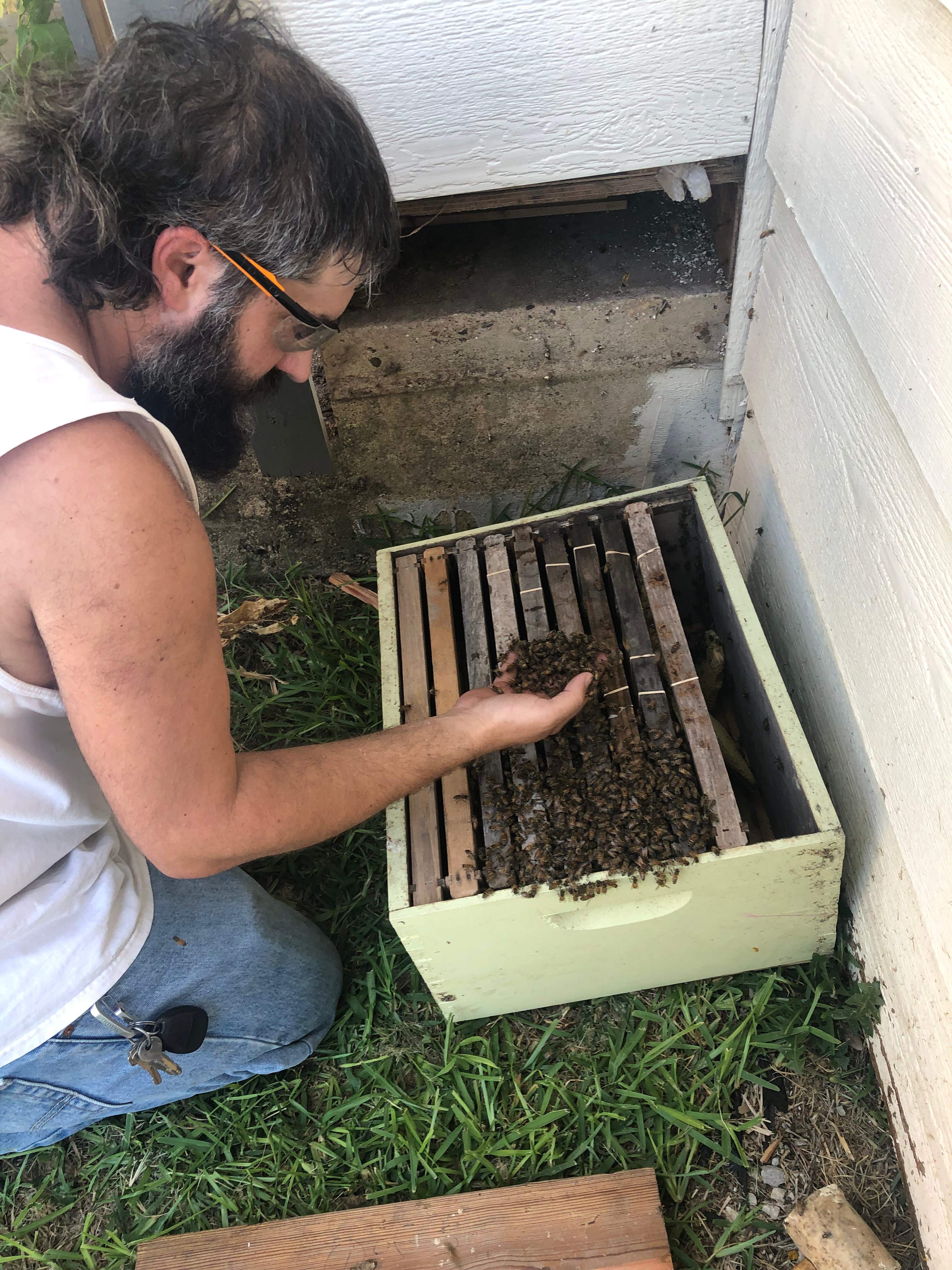 Bees Handled by Rockwall Honey Bee Company