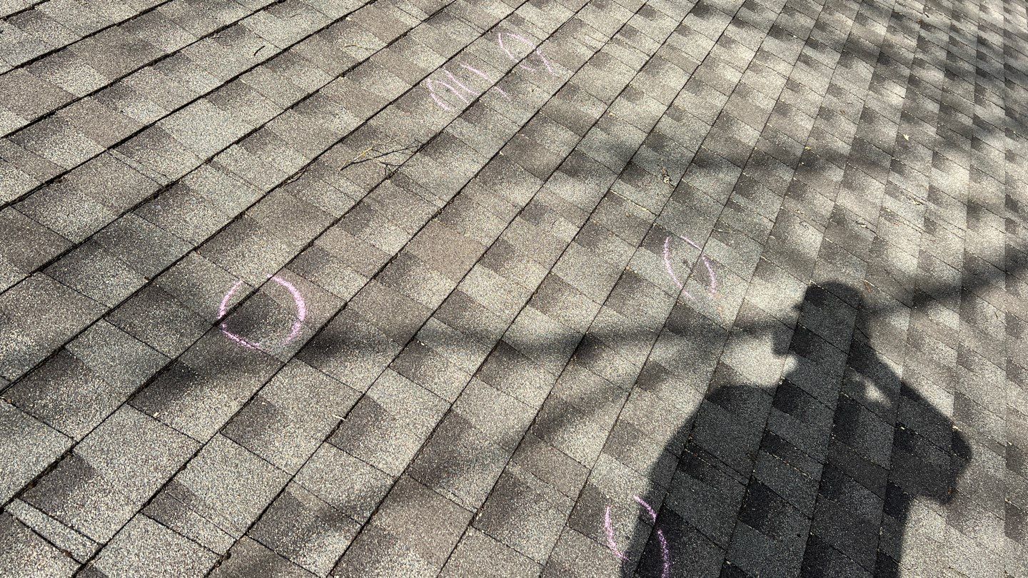 Winter storm 2023 with tree damage by Oakwood Roofing and Construction, LLC