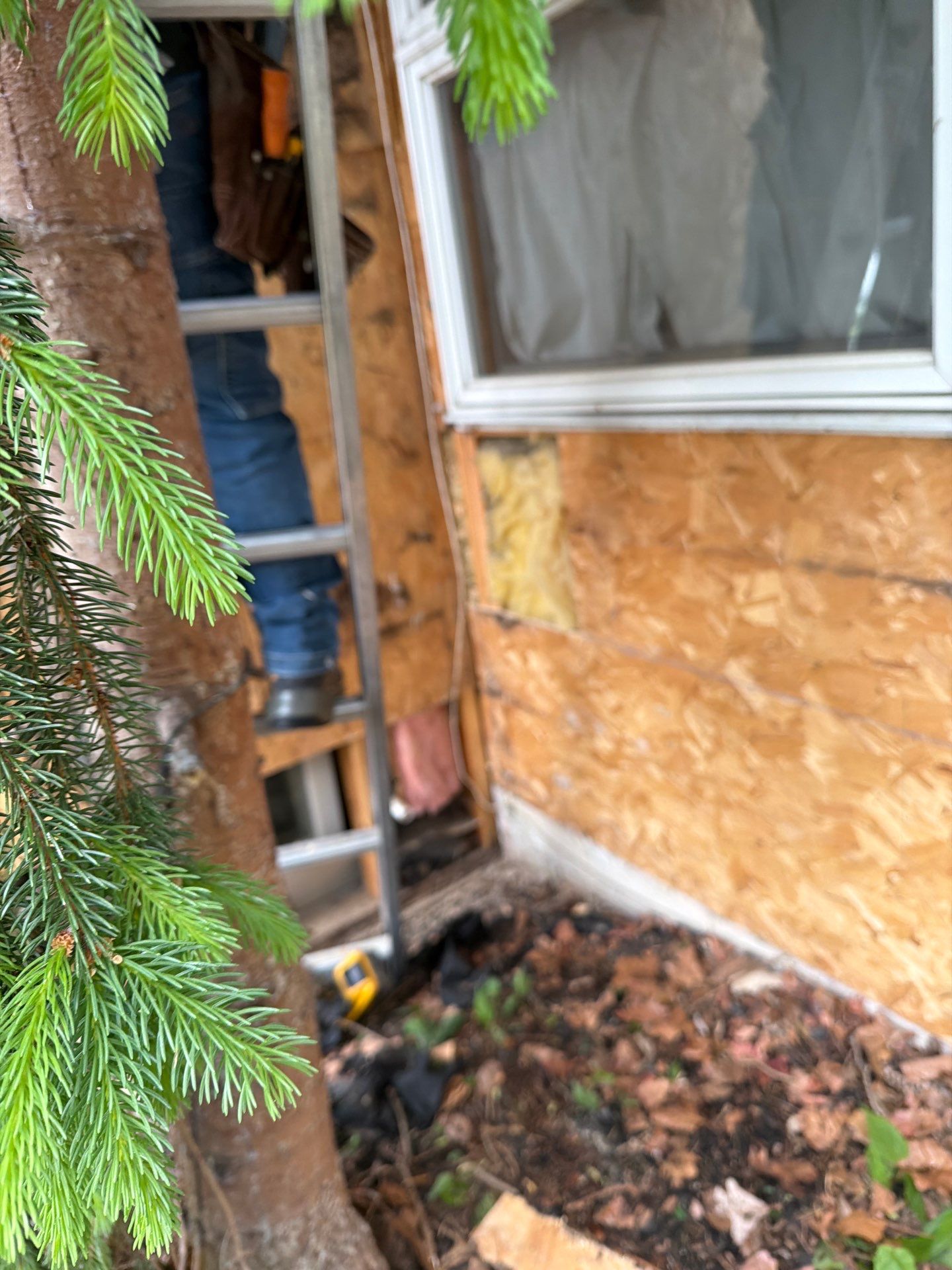 Royal Siding and Okna Windows by Aspen Home Improvements