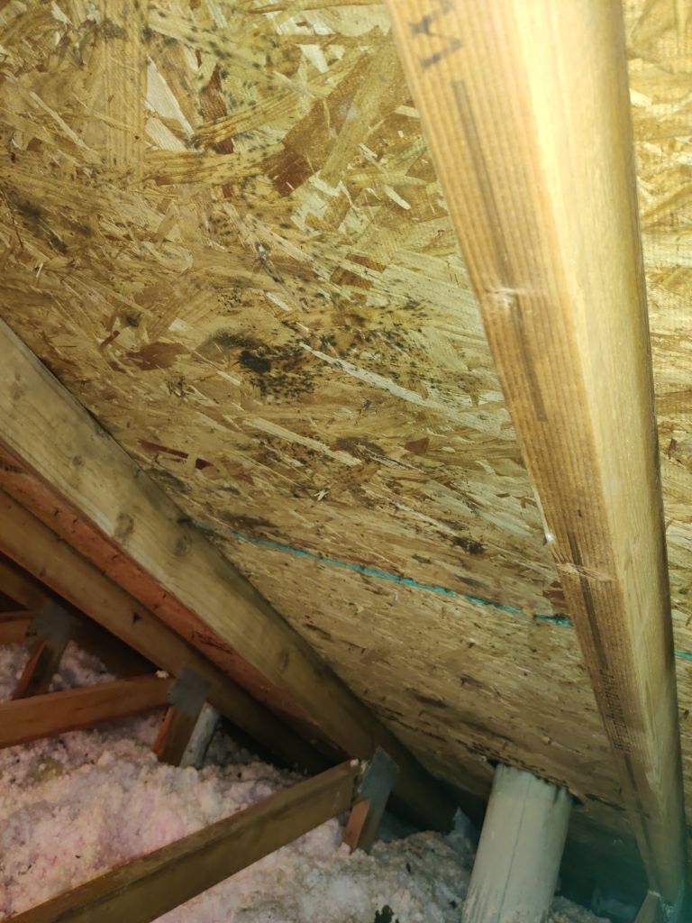 Mold Remediation in Attic by Accountable Home Services