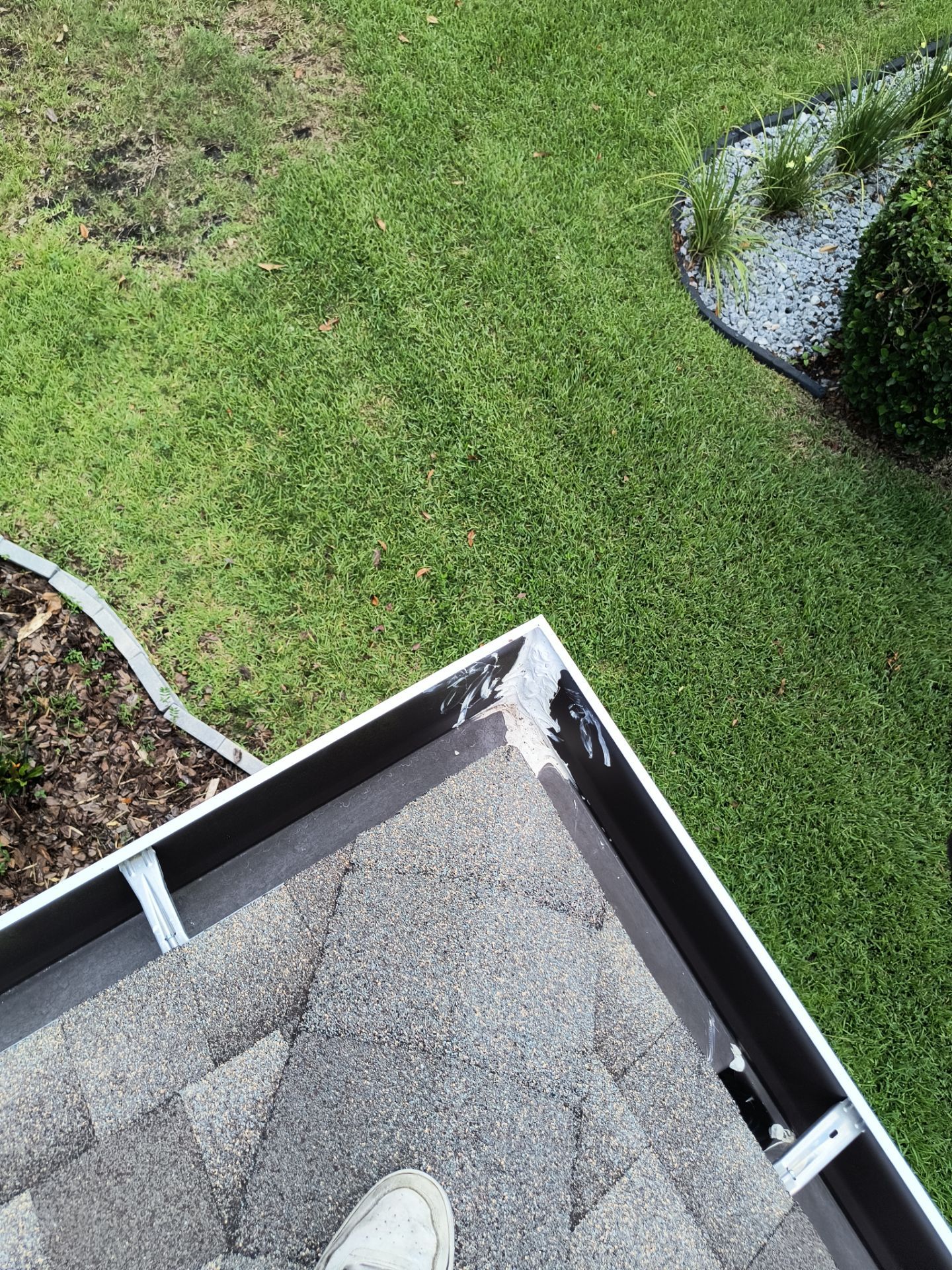 Professional Gutter Cleaning in Lutz FL by Gutter Professors