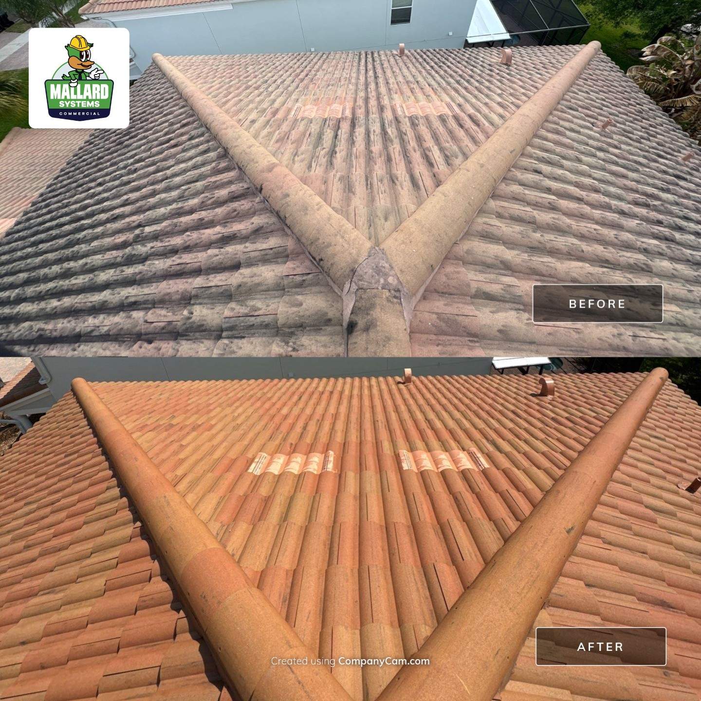 Barrel Tile Roof & Paver Driveway Cleaning by Mallard Systems