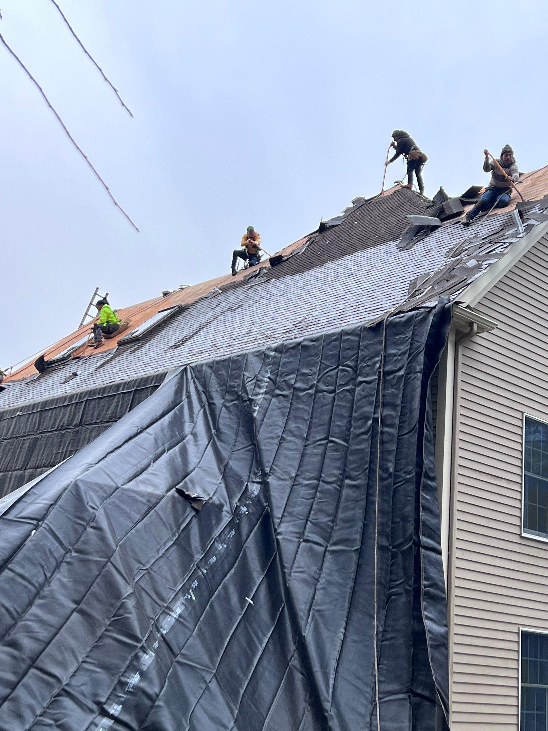 Tyee Roof Replacement  by Tyee Construction Corp