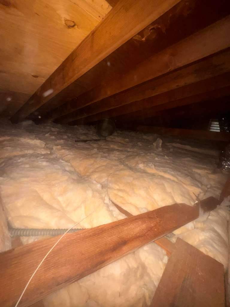 Project by Advanced Attic Solutions by Advanced Attic Solutions