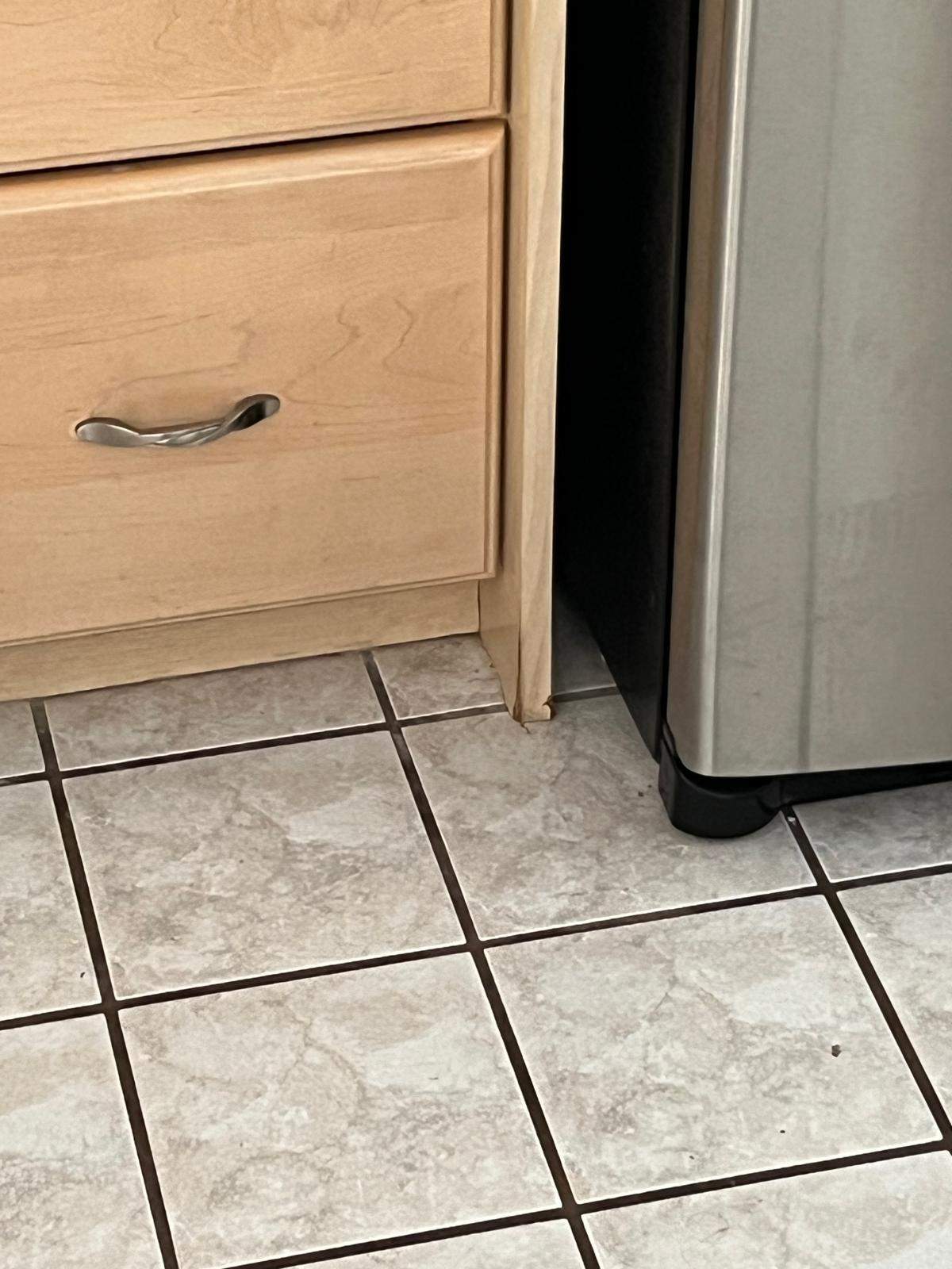 Water Damage Claim in Matlacha by FLAPA & KeyStone