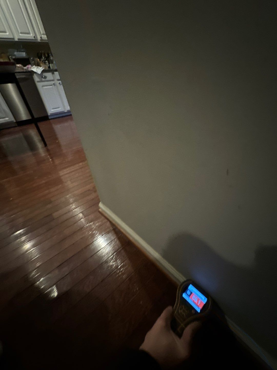 Project in Walled Lake by EzDry Water Mitigation & Property Restoration