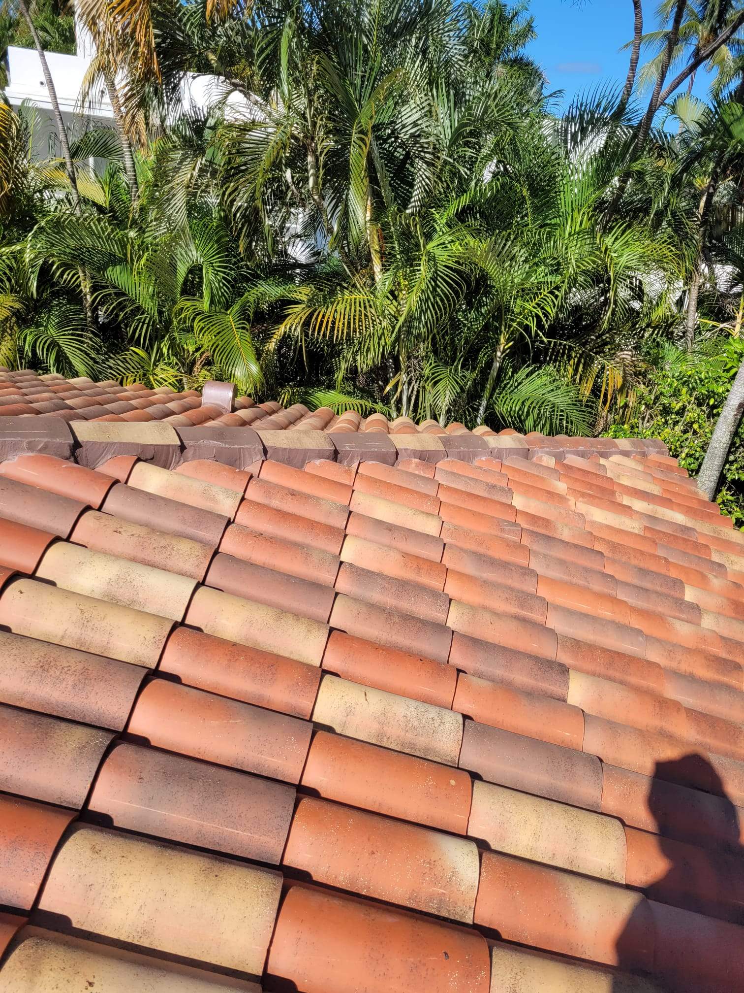 Verea - Spanish S - Jacobea by Istueta Roofing