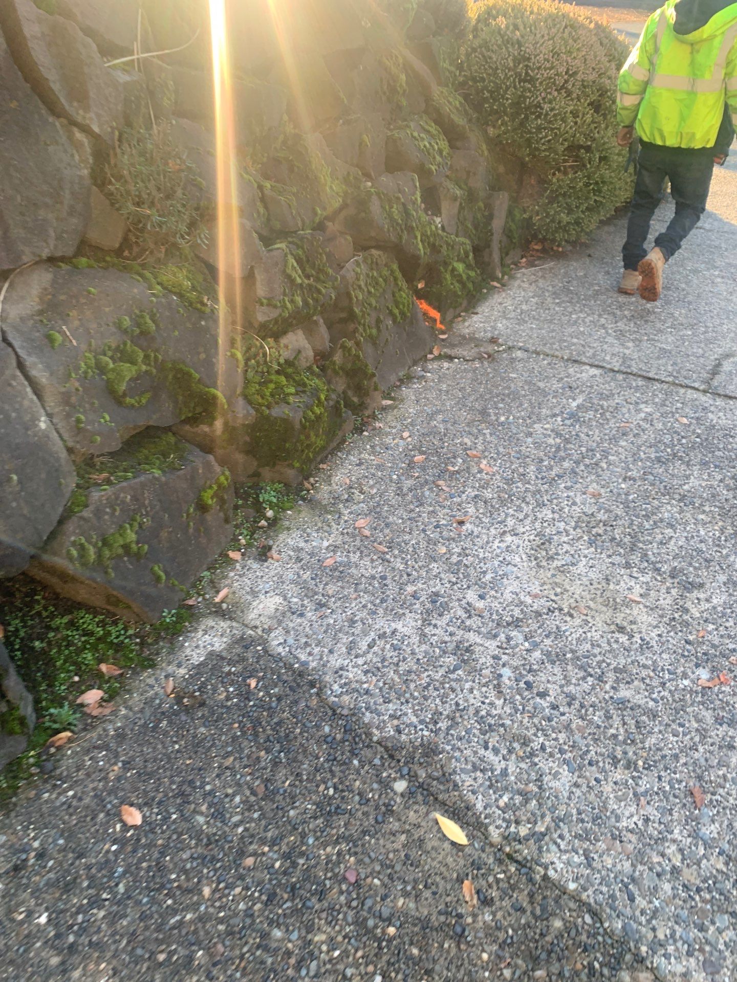 Concrete Driveway Repair | Seattle  by Jireh Asphalt & Concrete Inc 