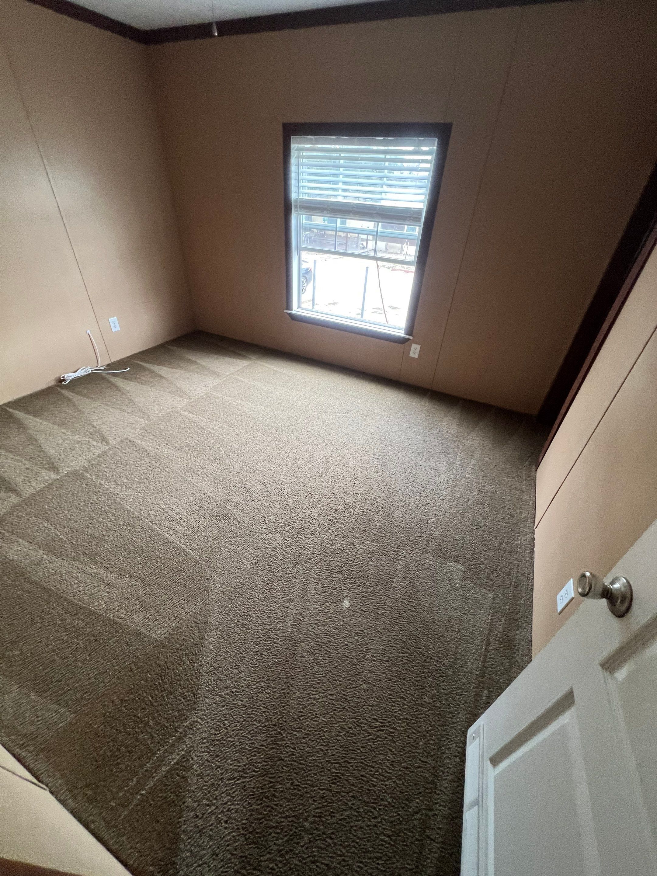 the service being done is carpet cleaning in a room with freshly cleaned carpets and a well-lit atmosphere