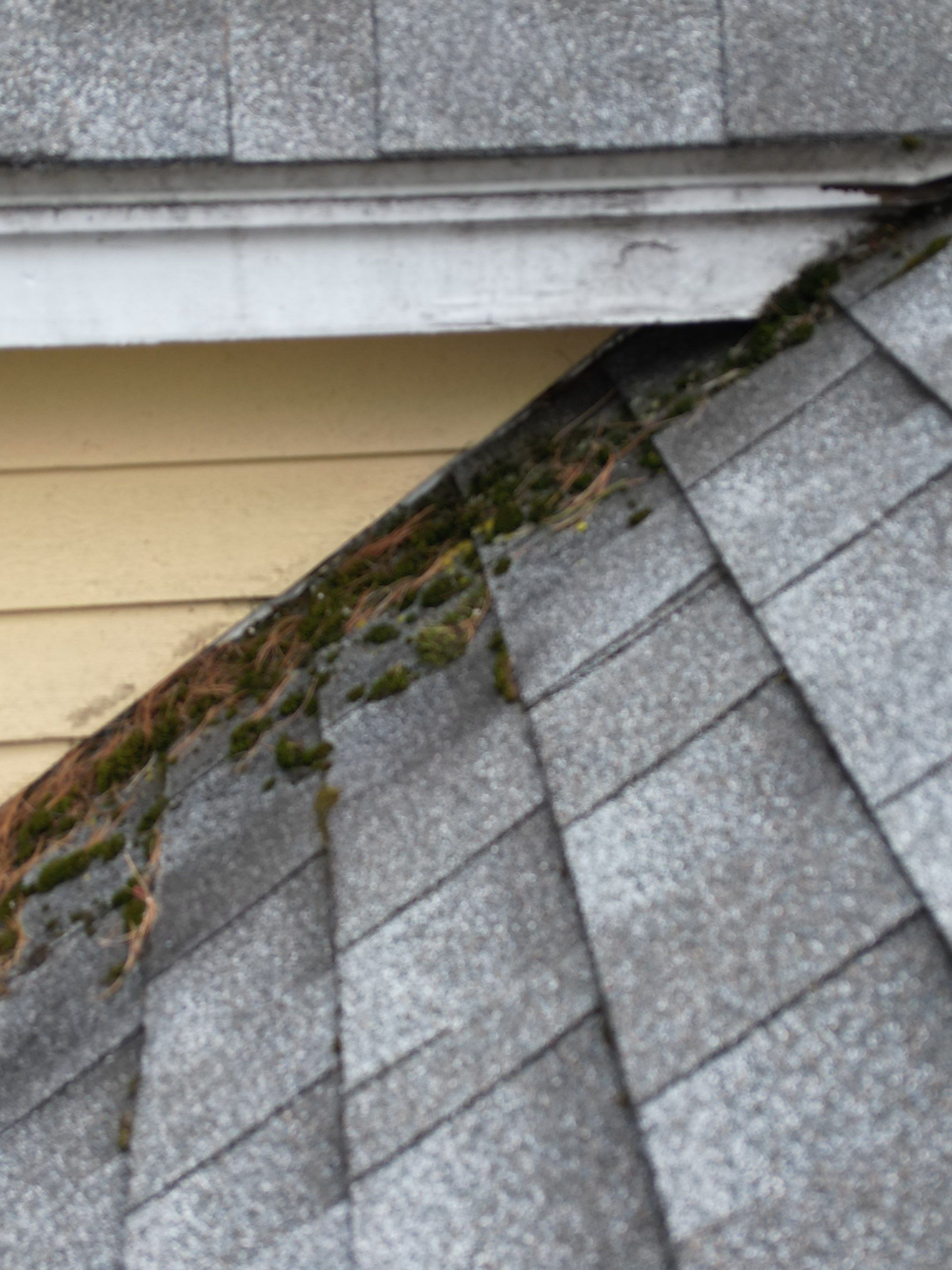 Siding | Dunstable by Mighty Dog Roofing of Greater Middlesex County