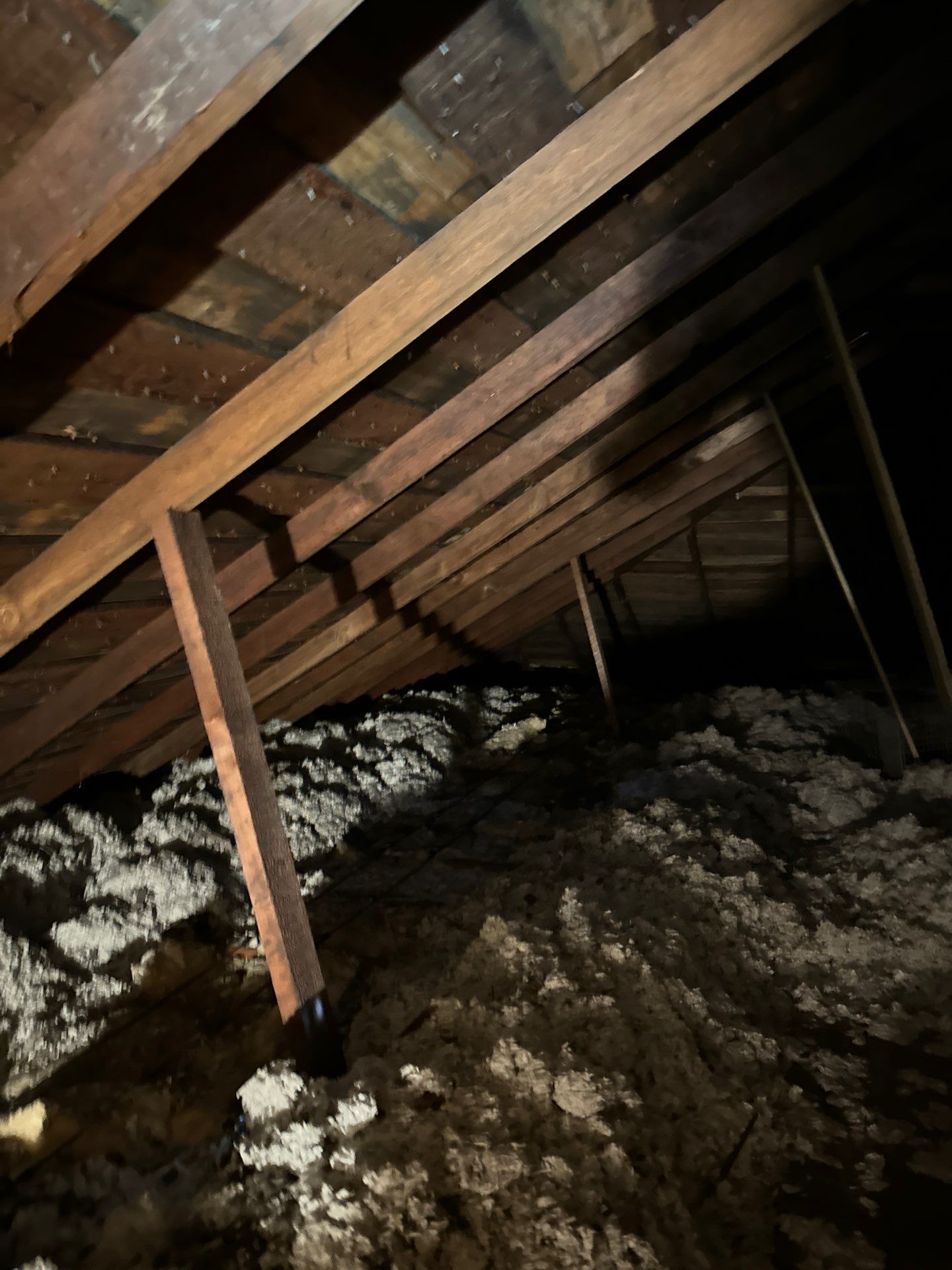 Project in Everett by Peaks and Valleys Construction