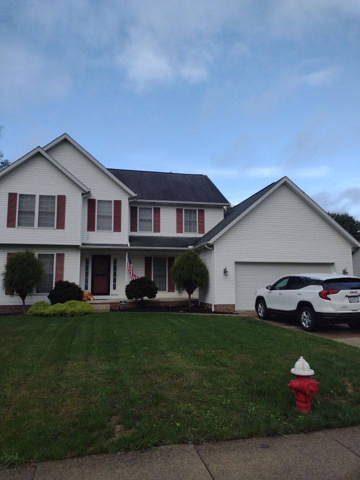 Victoria Gus by Silver Leaf Contracting 