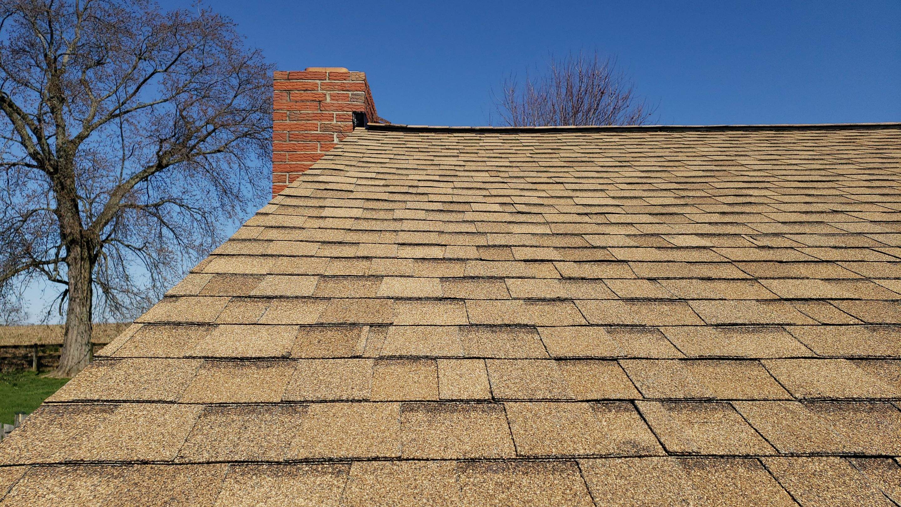 Roof Replacement using Tamko Titan XT shingles  by Roof Right Inc