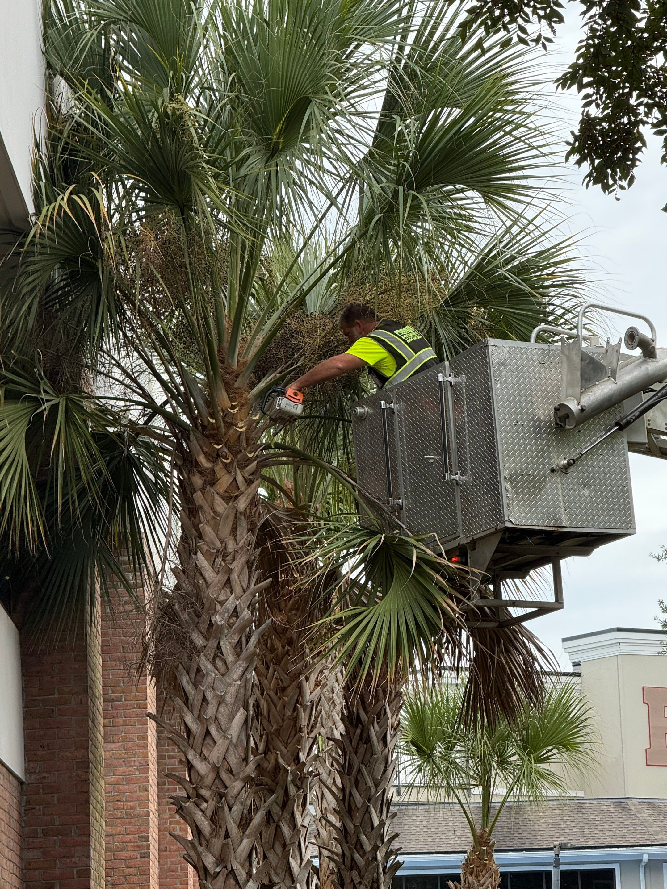 Volunteer Work | Episcopal High School of Jacksonville by ProGreen Services