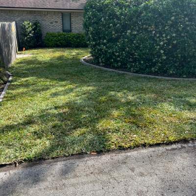 Sod Installation | Orange Park