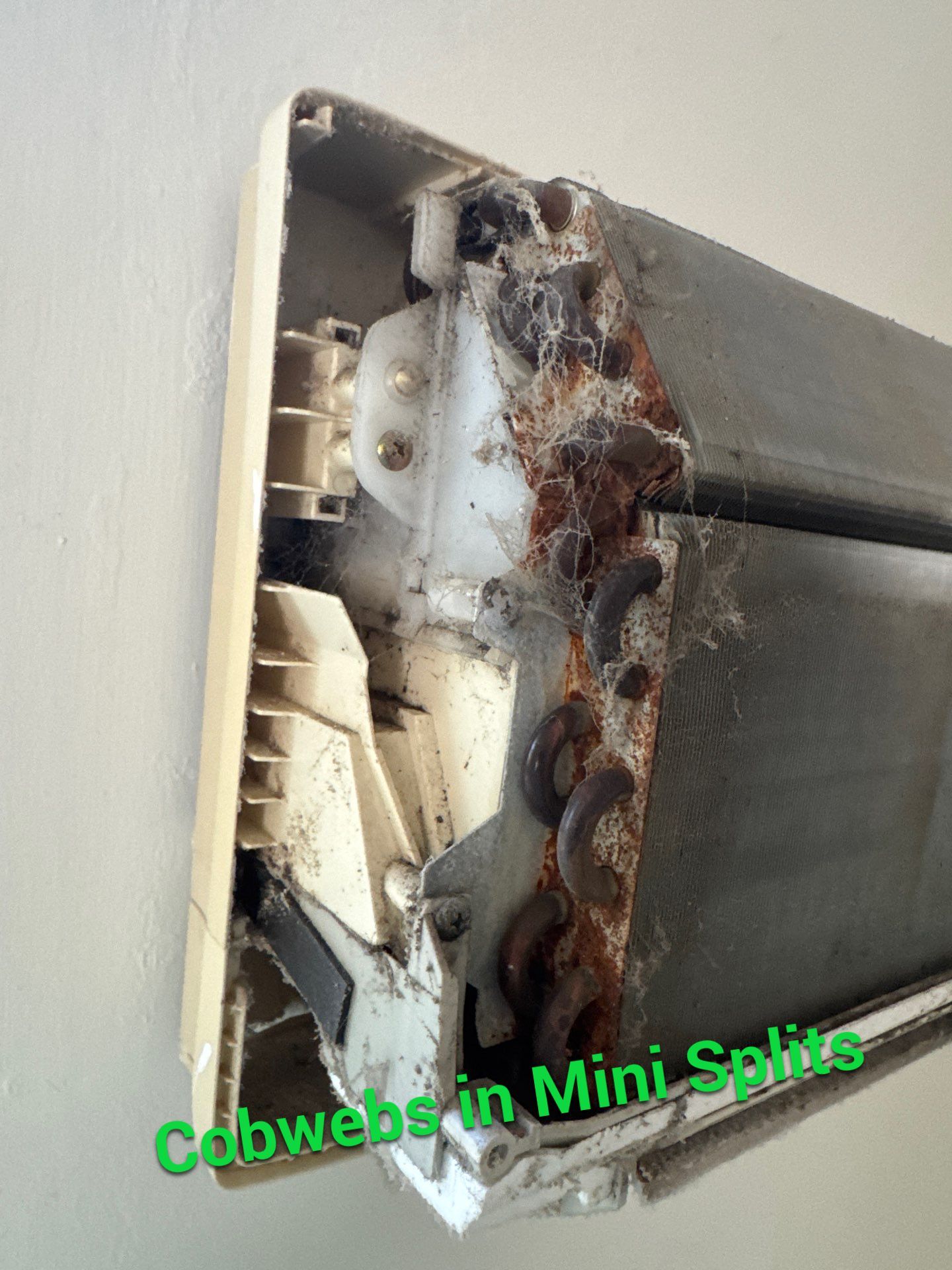 New Paltz, NY — Mini-Split Deep Clean & Biological Growth Removal by Shelter Air