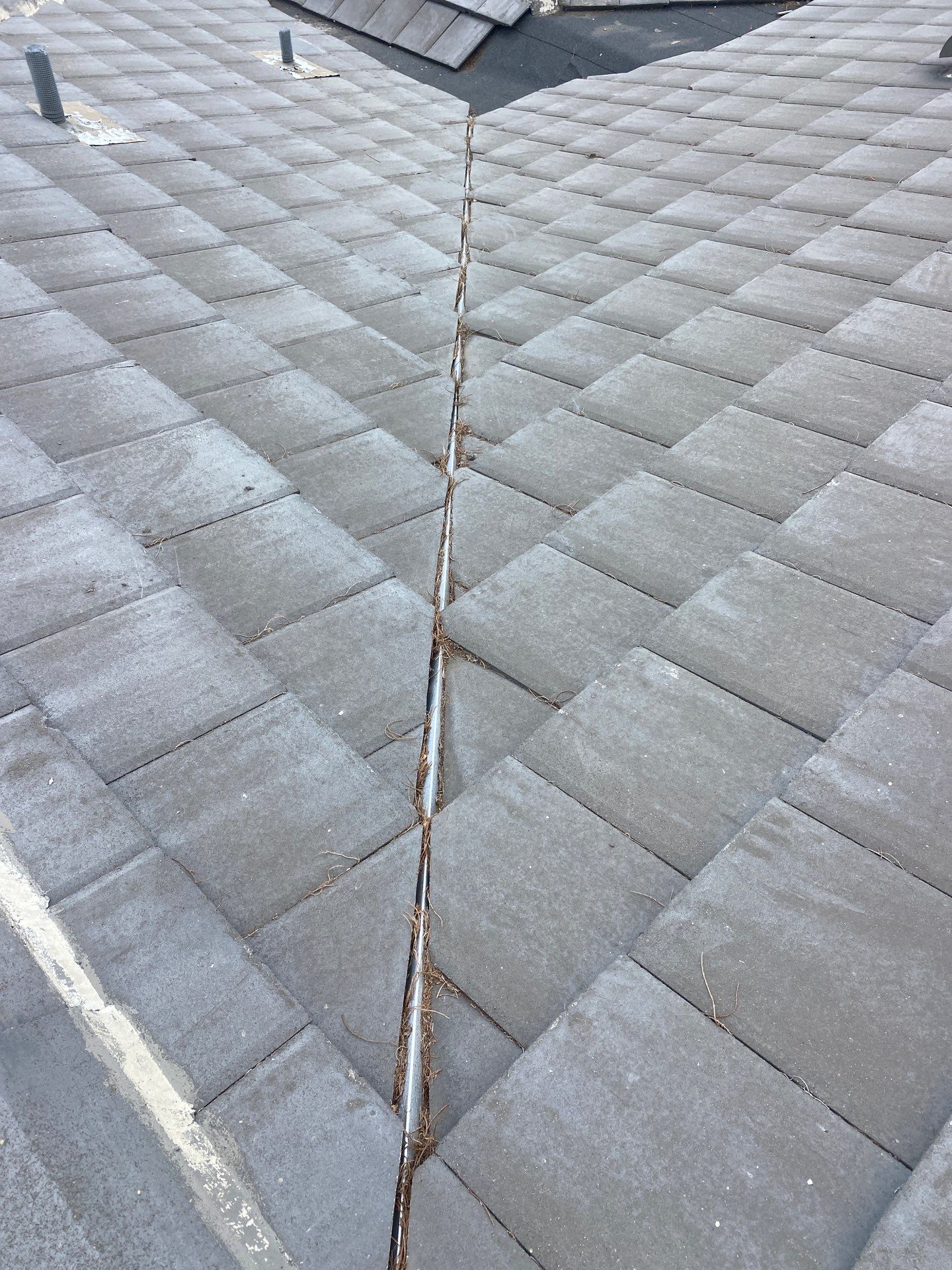 Windermere Concrete Tile Roof Repair and Protective Mesh Installation by Tip Top Roofing Co., Inc.