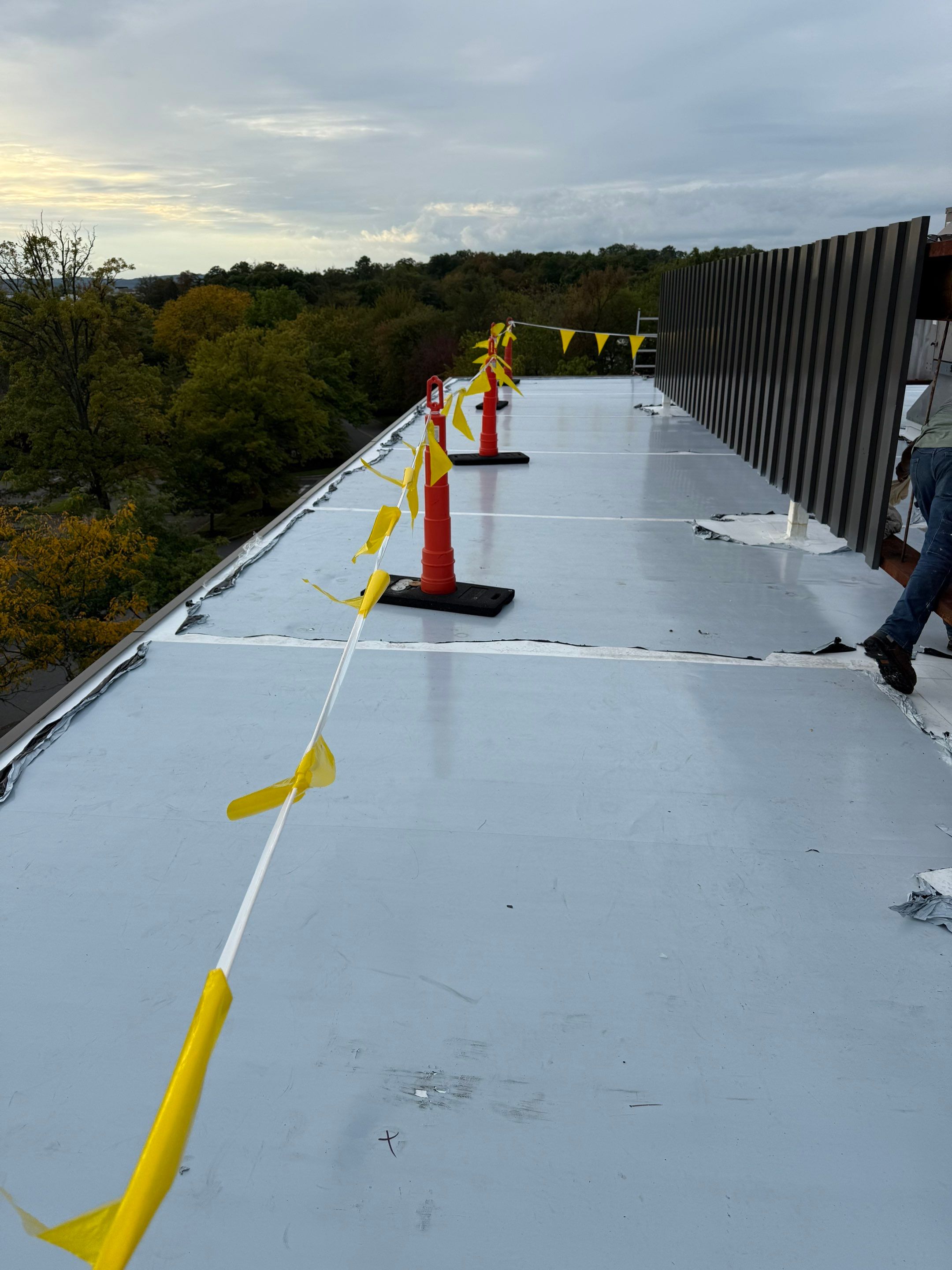 Commercial Roof Replacement – TPO Rhinobond System Installed at TD Bank by All Site Roofing