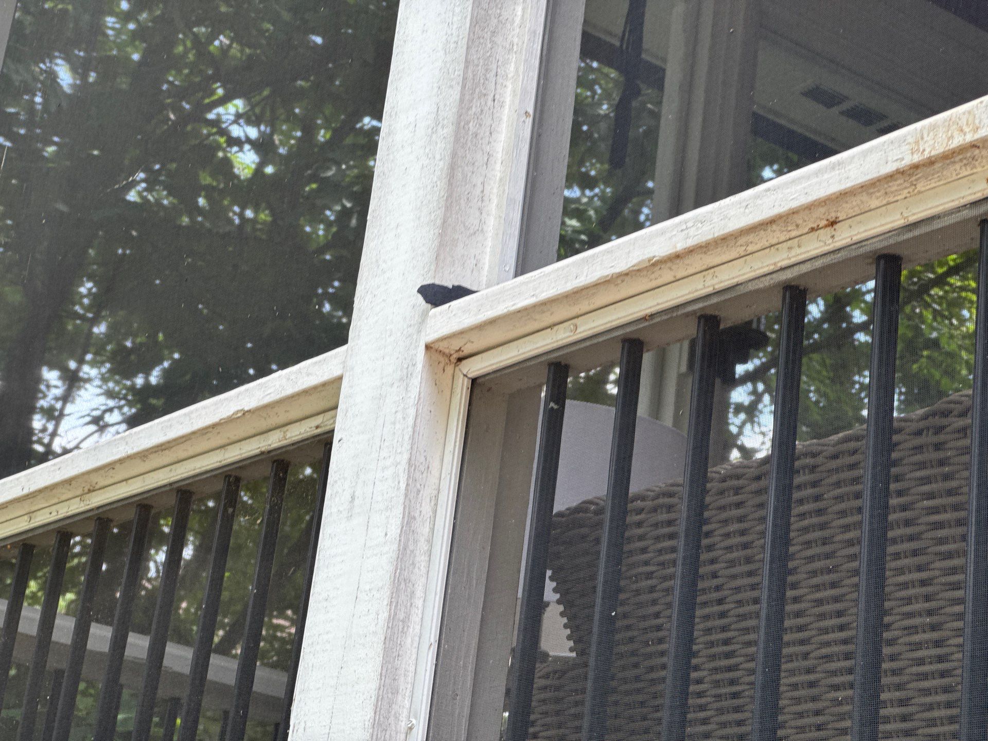 Element Pros Roofing featured photo.