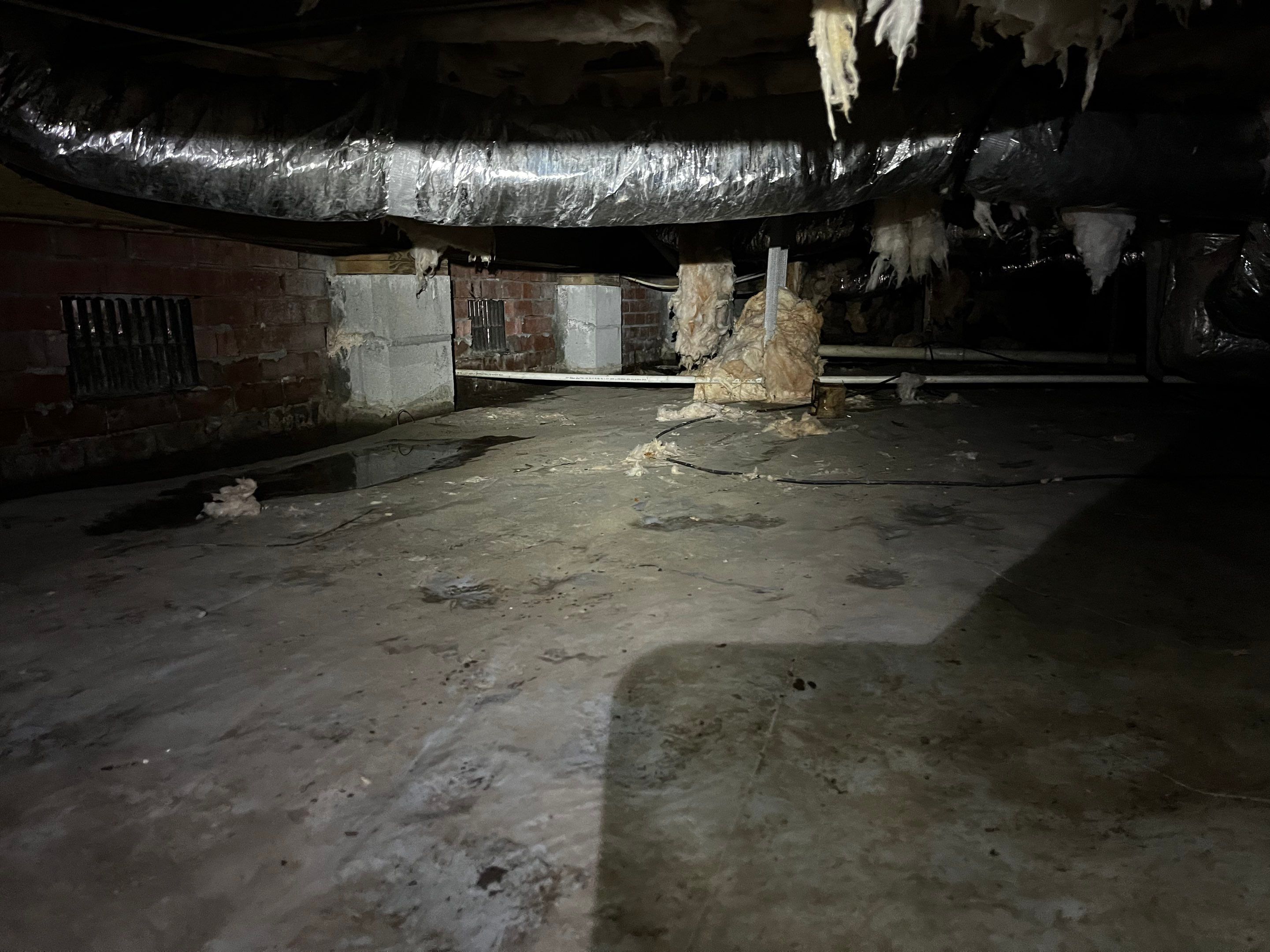 Impact Choice Encapsulation with French Drain and Crawlspace Doors by Impact Crawlspace
