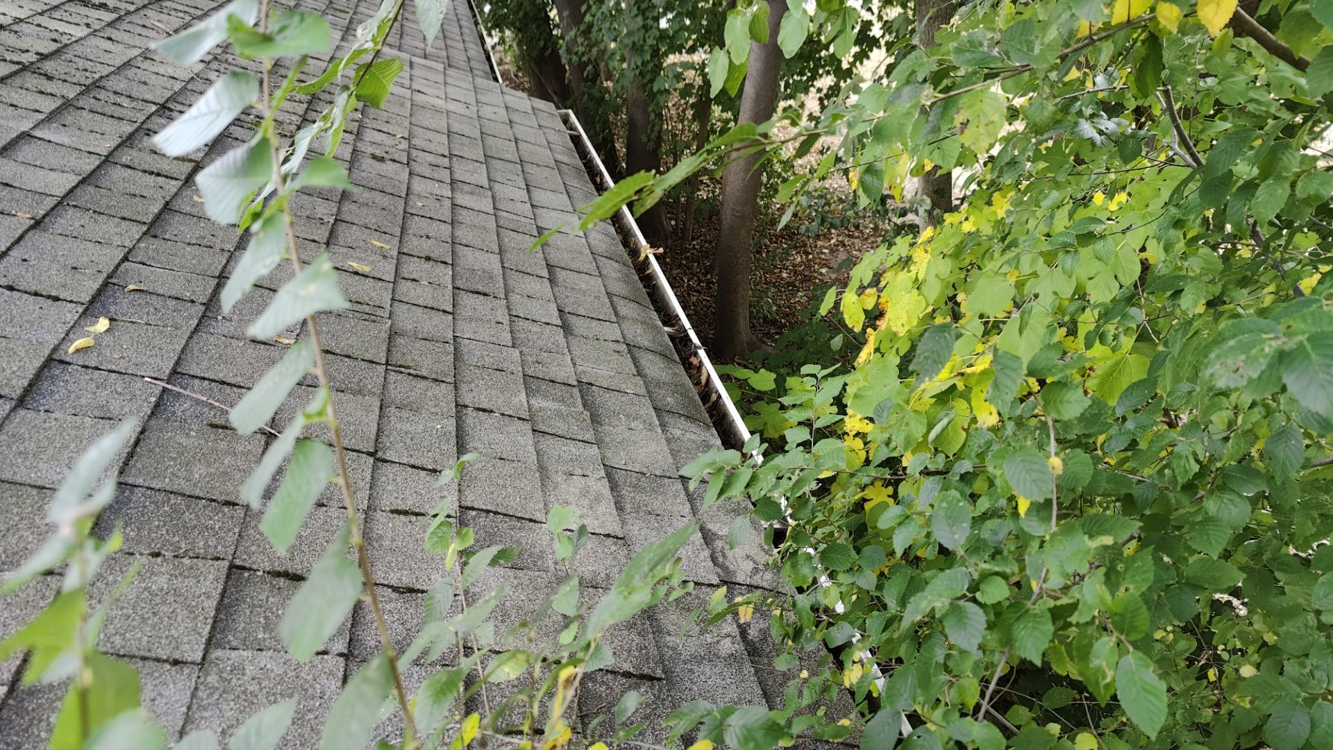 Roof Replacement using Owens Corning Midnight Plum by 180 Contractors