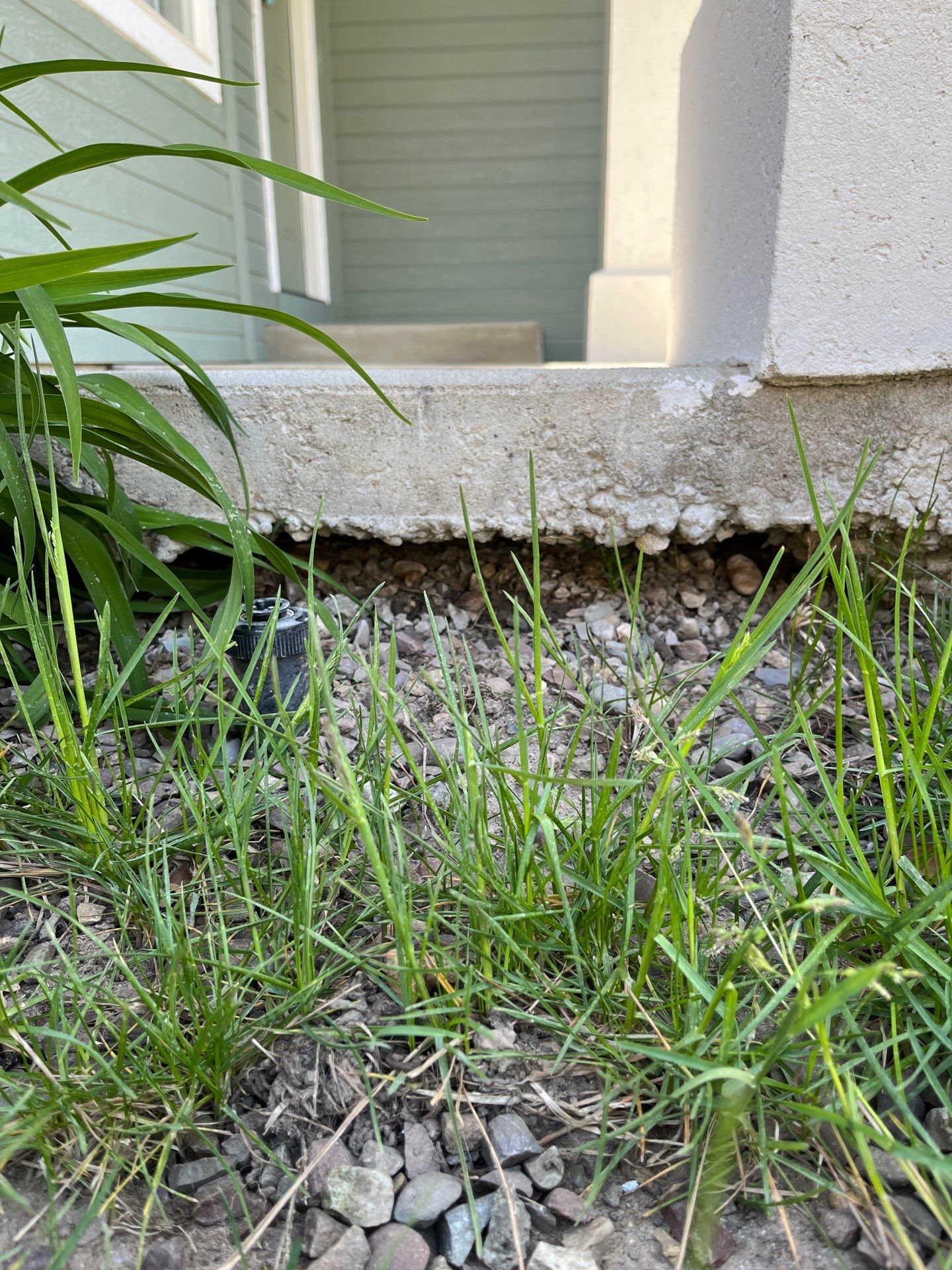 Walkway Lift and Level by Trenton by Mr. Mudd Concrete