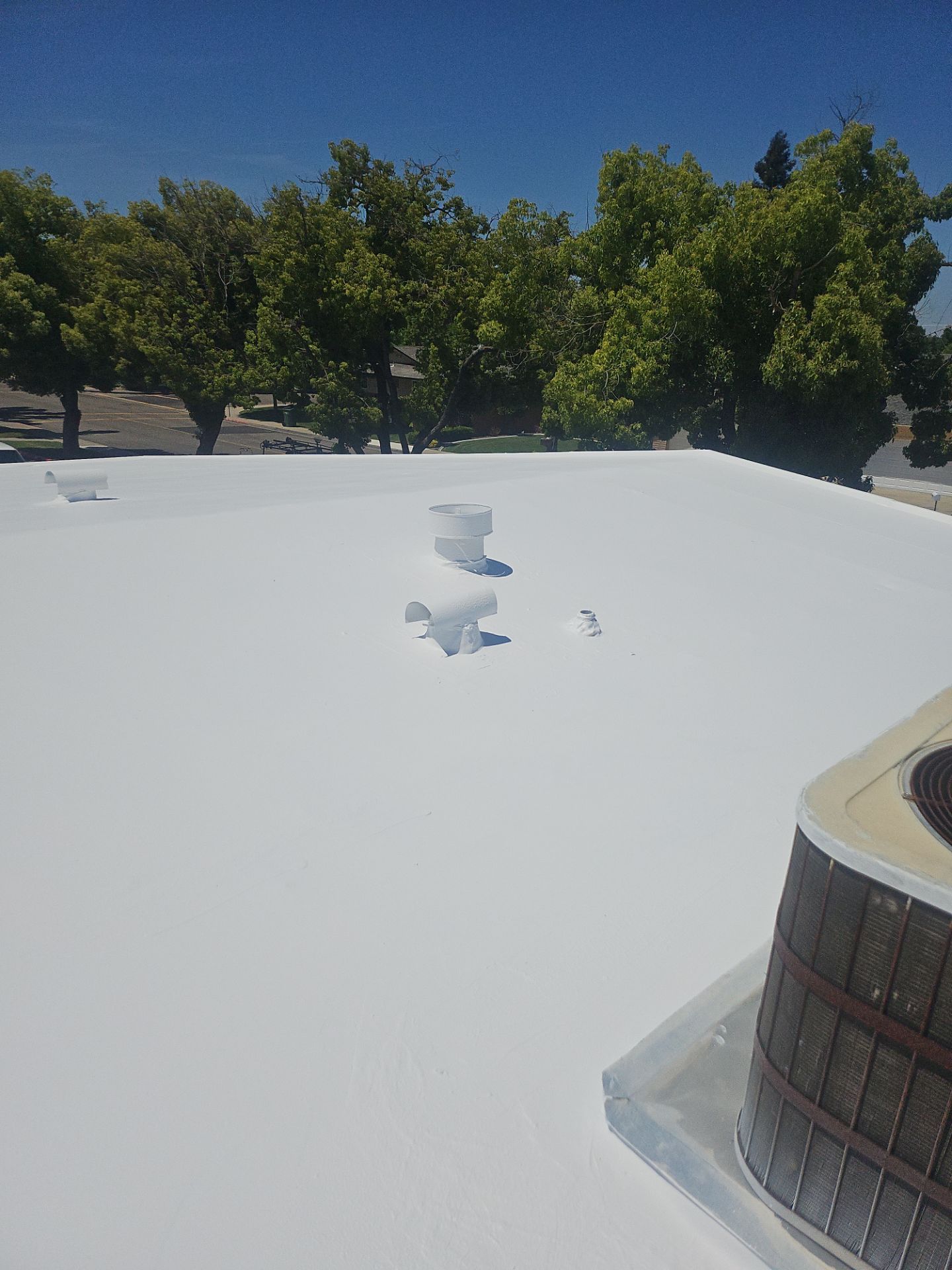 Single-ply restoration system using Benchmark/PUMA XL coatings over TPO single-ply roofing by Straight Edge Roofing Inc