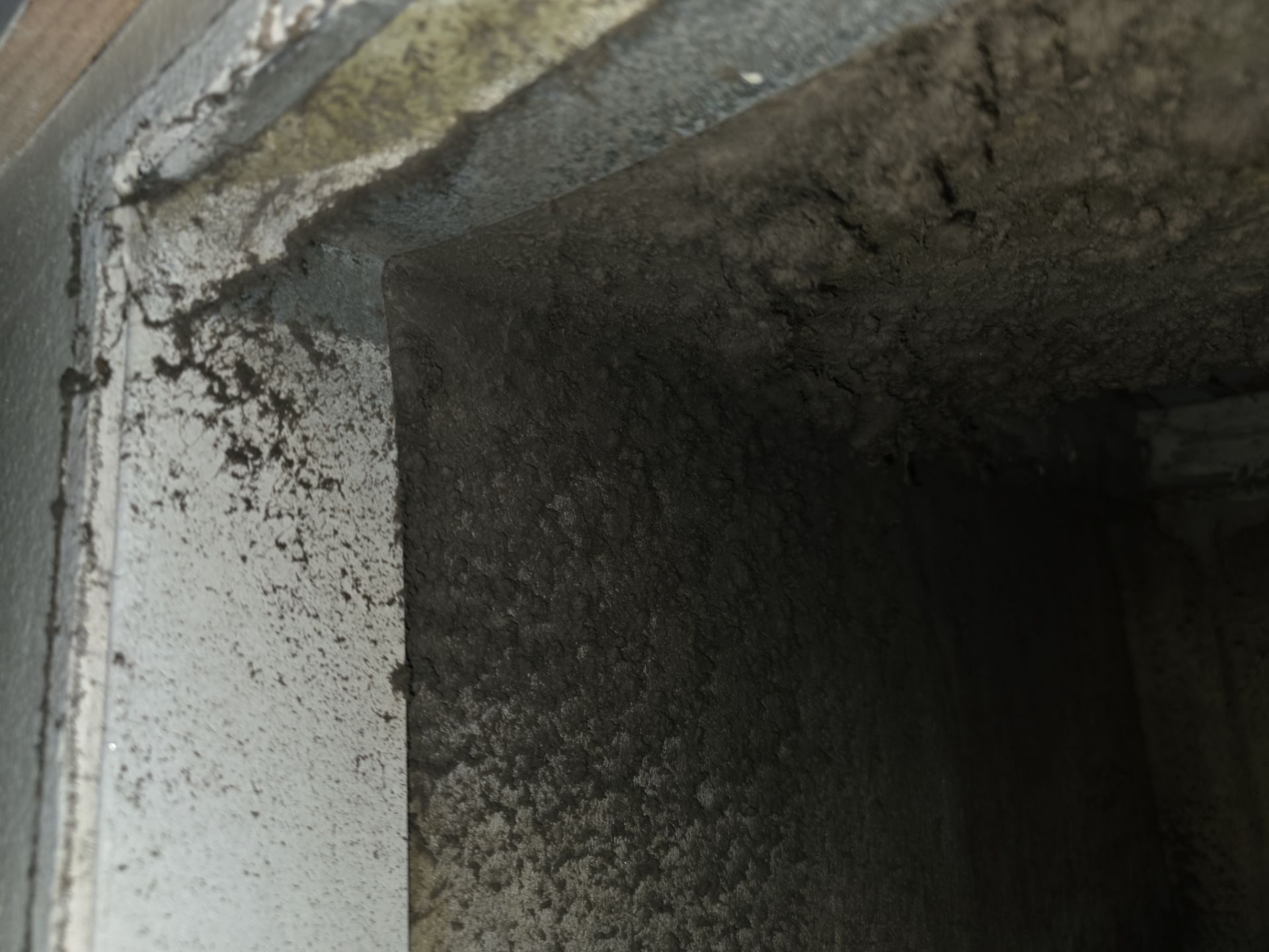 Duct Cleaning in Casselberry by Hygienic Air, Inc