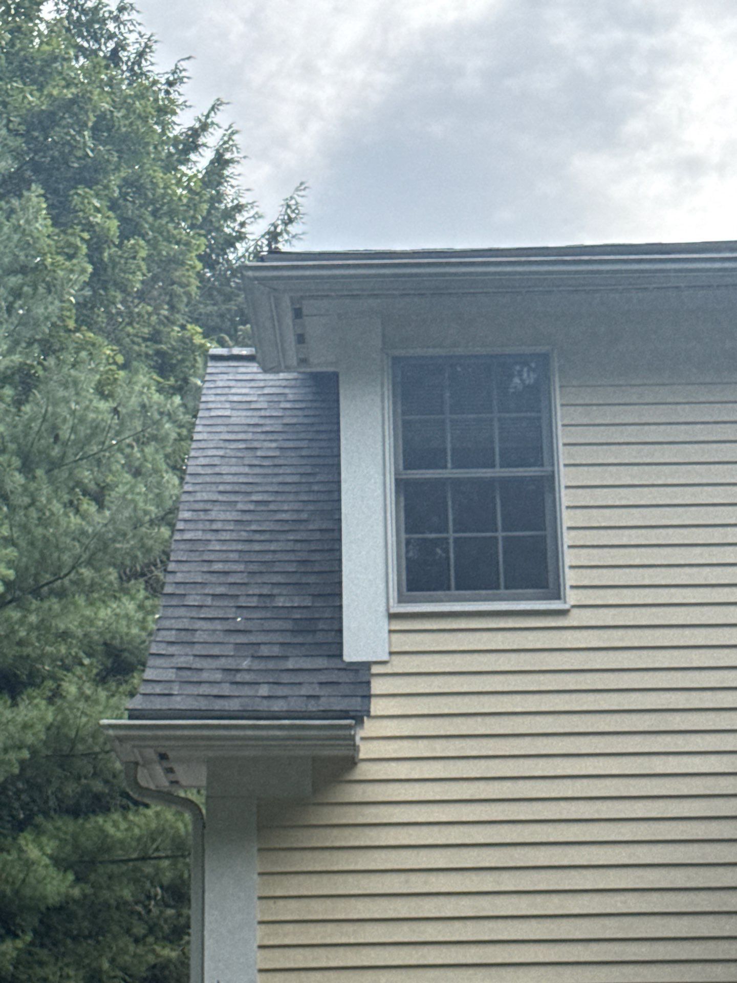 Complete Roof Replacement, Gutter Reinforcement & PVC Trim Upgrade by Mighty Dog Roofing of Greater Middlesex County