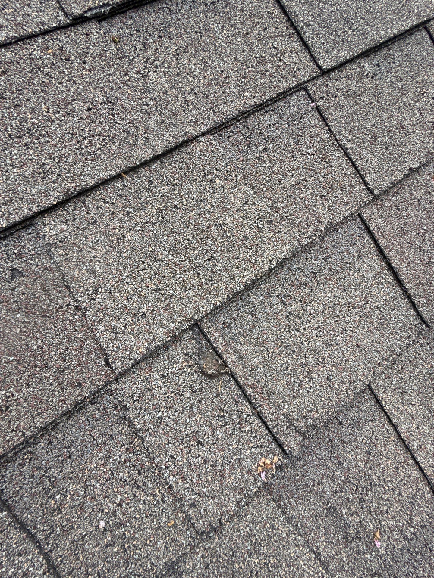 Roof Repair Houston by Roof Repair Services LLC