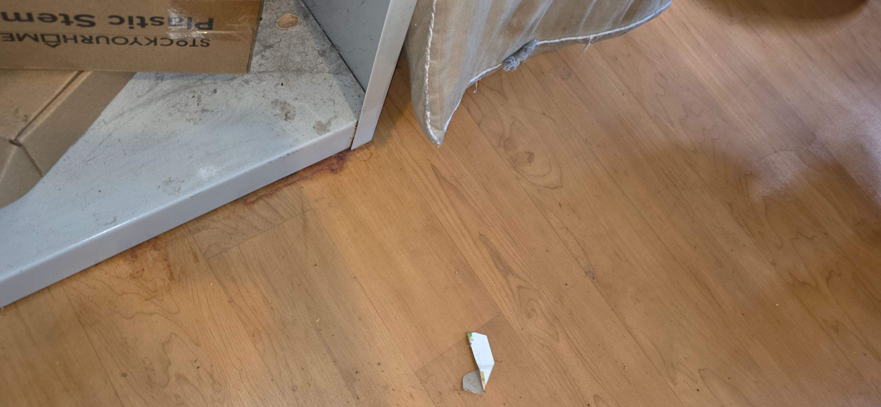 Water Damage Claim in Miramar by FLAPA & KeyStone