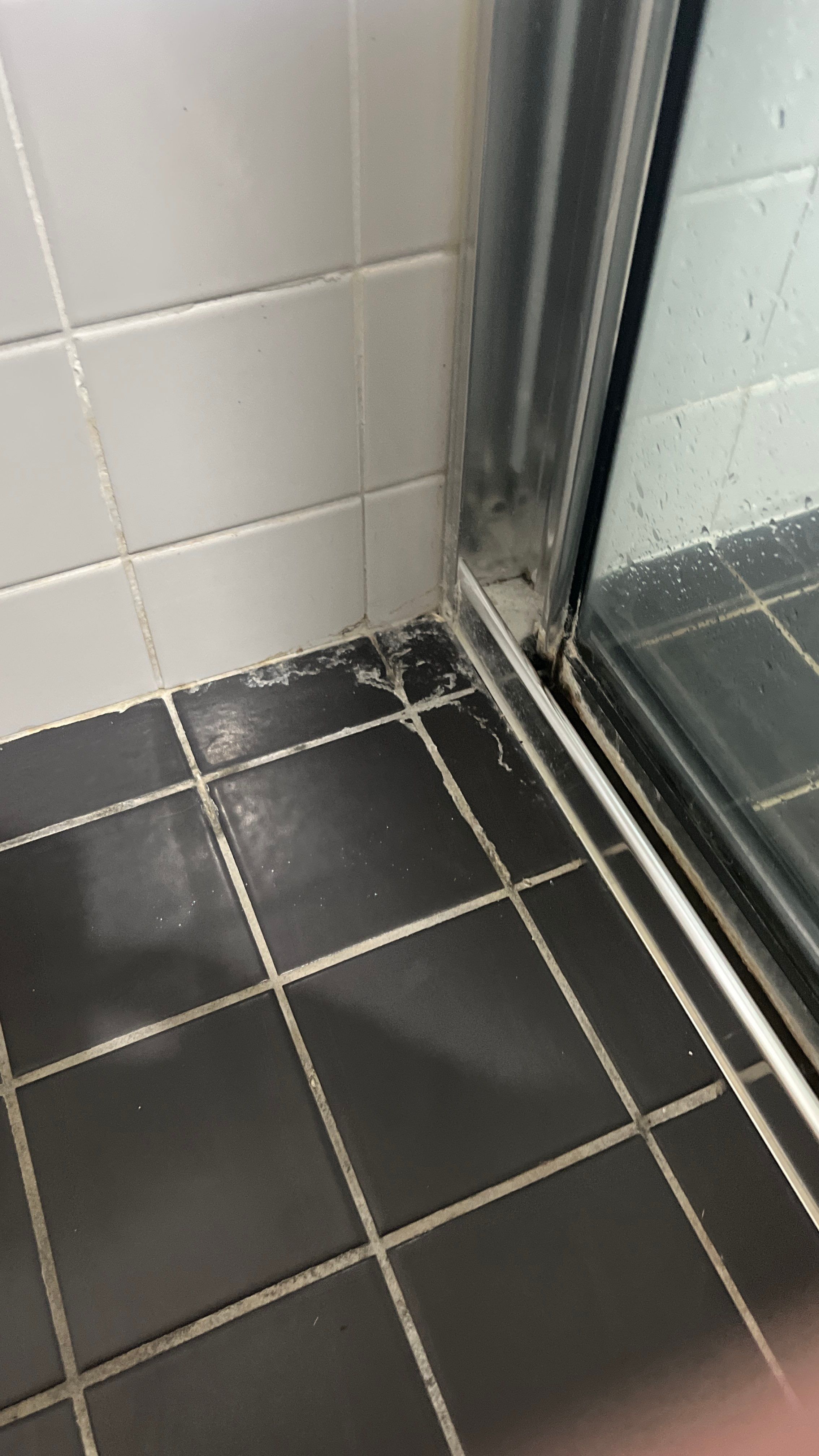 Time Line For Bathroom & Toilet Renovation by Re-seal Bathrooms