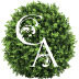 Logo for Creation Appreciation Landscaping