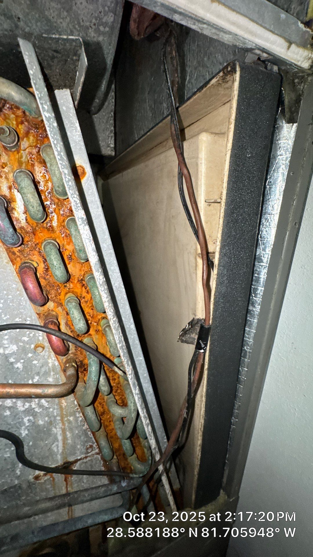 AIr Duct and Dryer Vent Cleaning in Montverde by Hygienic Air, Inc