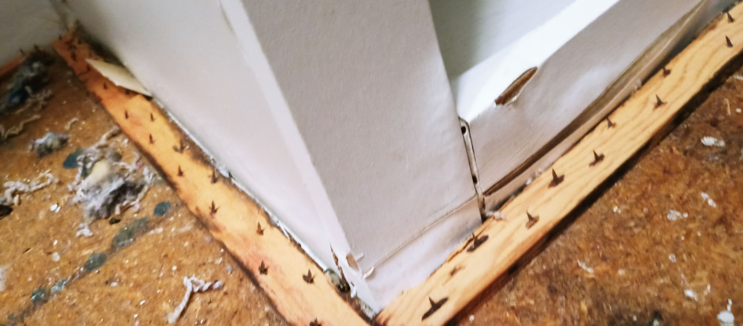 Water Mitigation, Mold Remediation and Repairs of Home in Memphis, IN by ANR Restoration