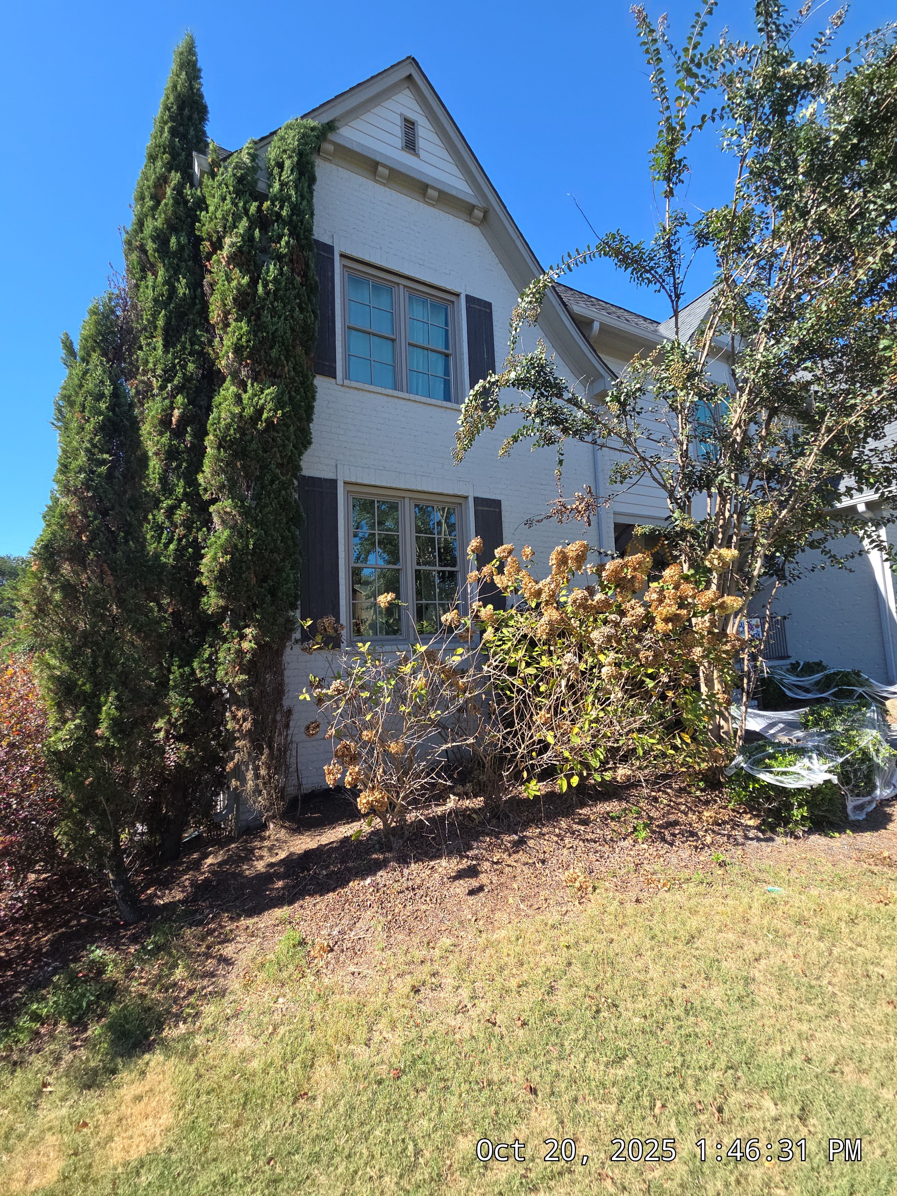 Kothary Project in Vestavia Hills by The Window Source