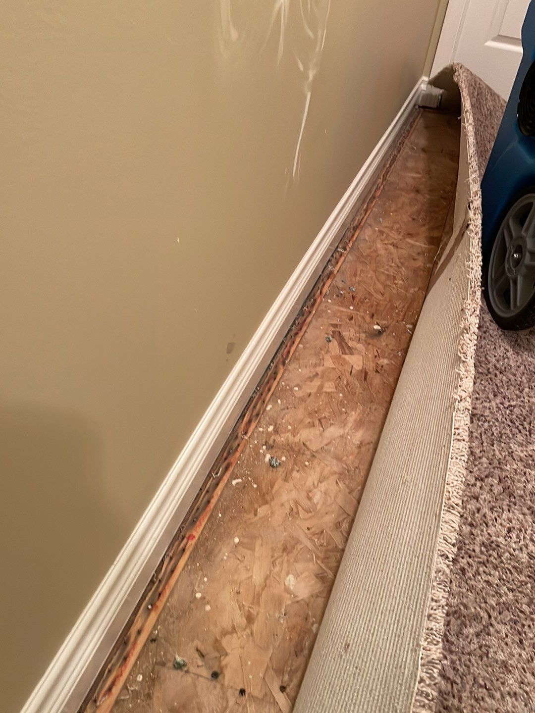 Project in Novi by EzDry Water Mitigation & Property Restoration